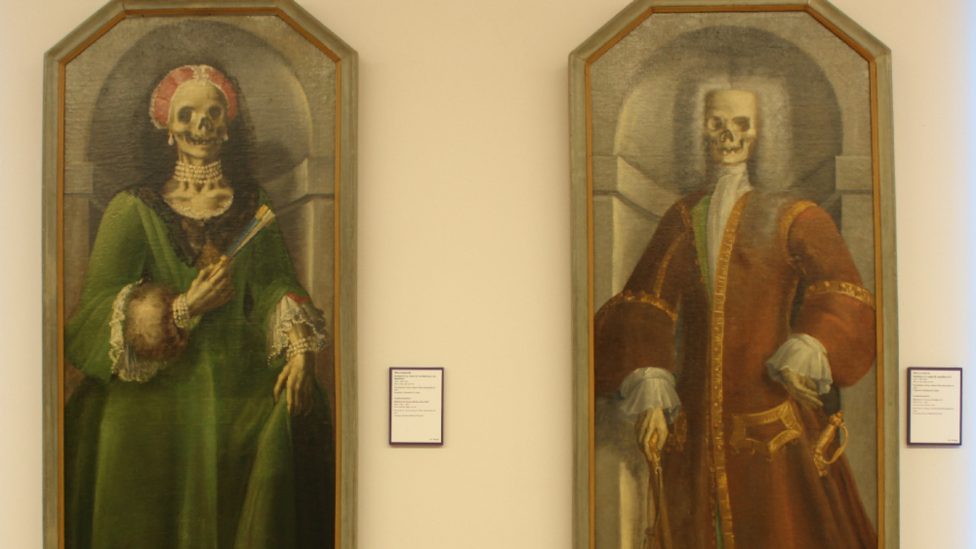 Immagine di Scheletri al museo