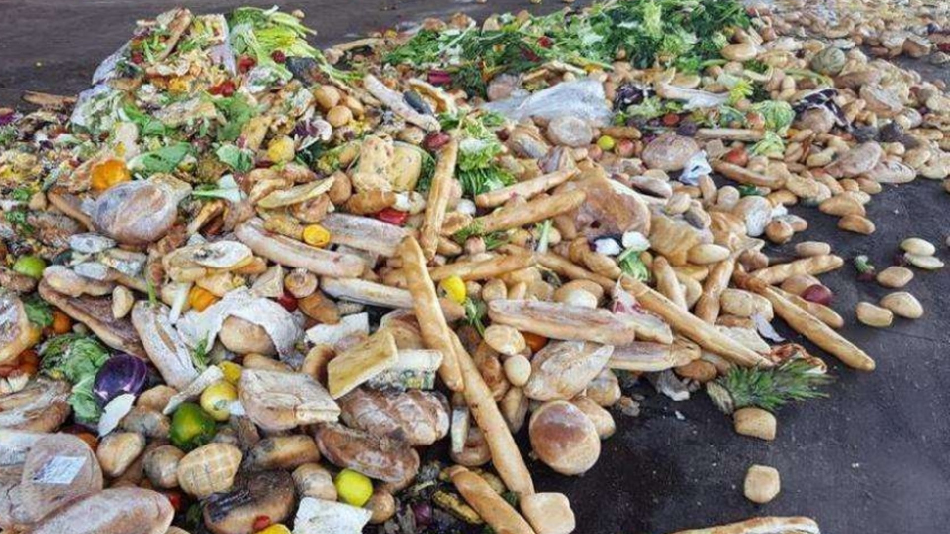 Immagine di Sprechiamo ancora troppo cibo: servono nuovi atteggiamenti