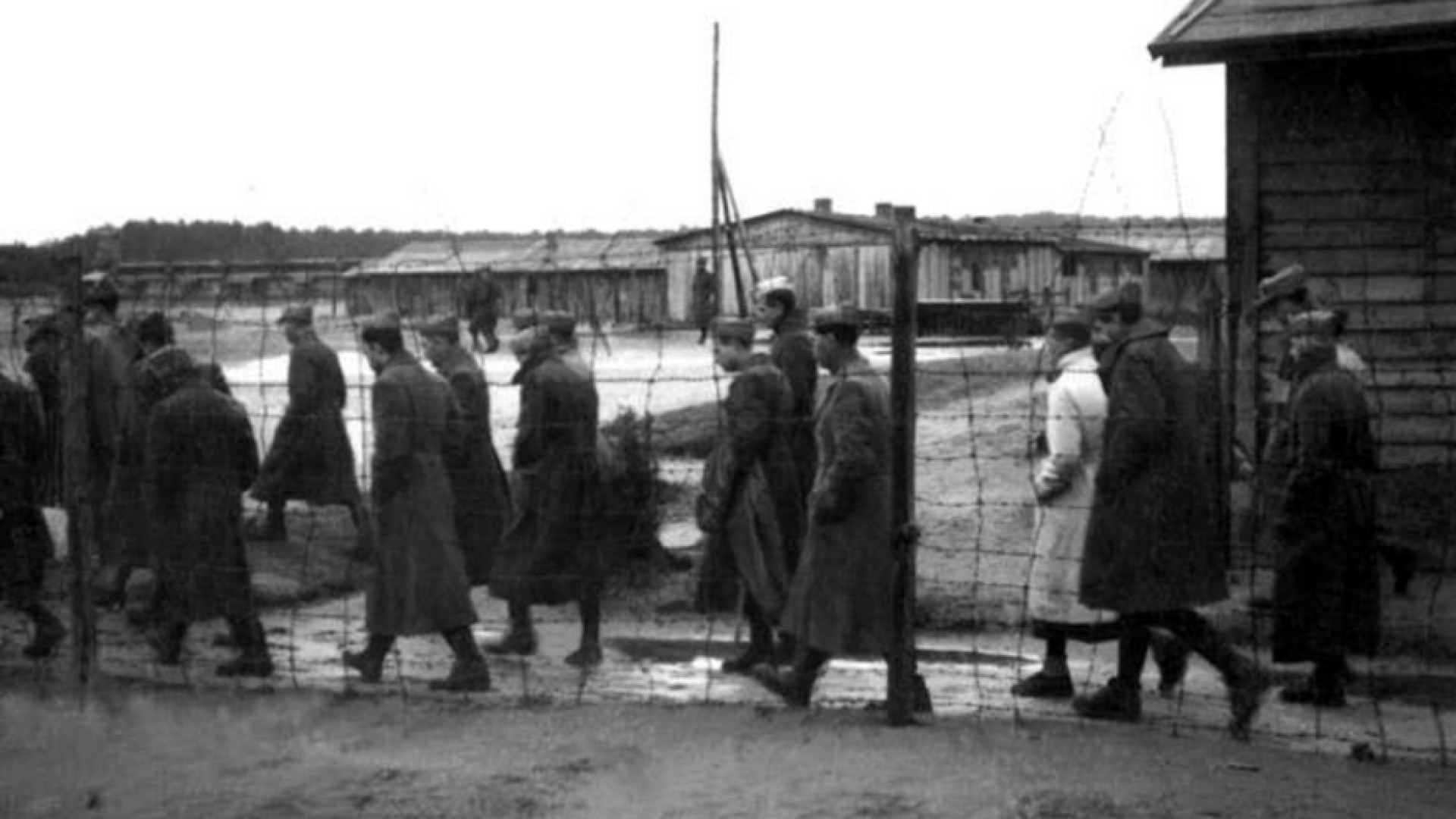 Immagine di 24 febbraio 1945: i 44 eroi di Unterlüss sfidano i nazisti