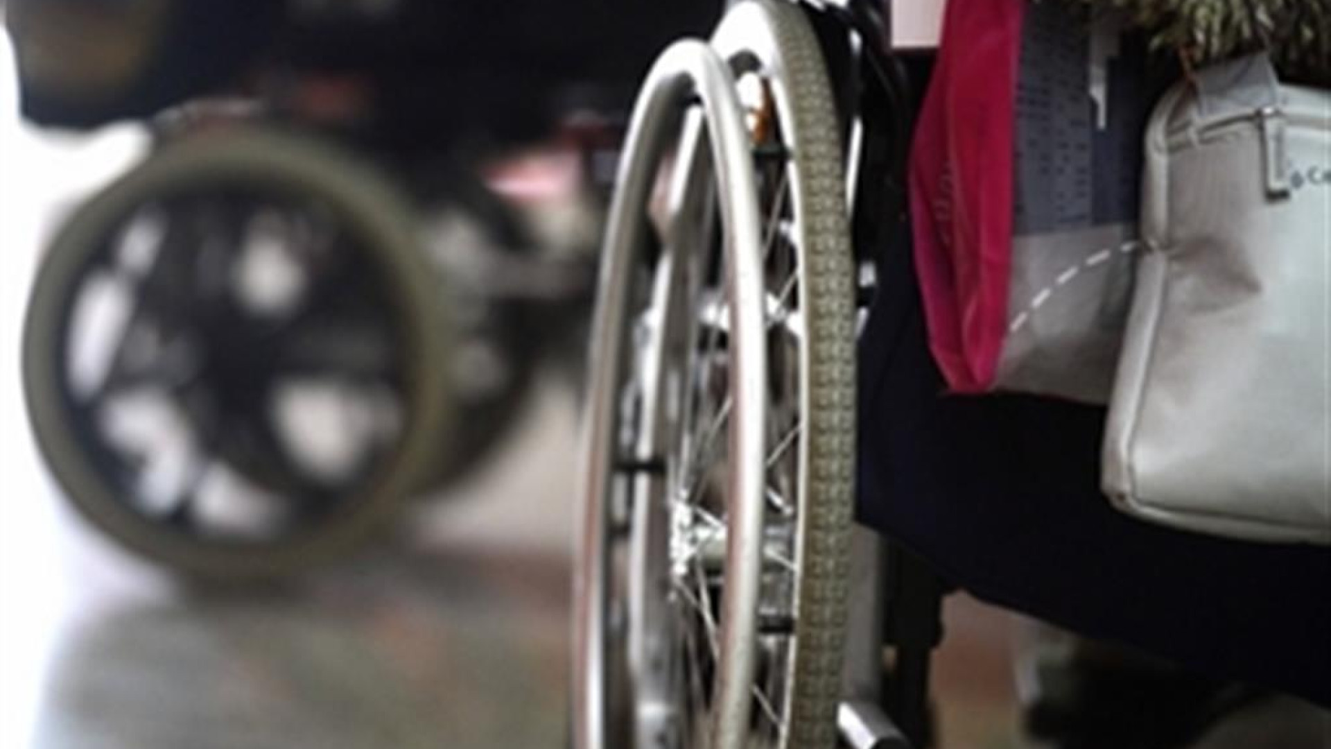 Immagine di Nasce l'Agenzia che aiuta i disabili a inserirsi