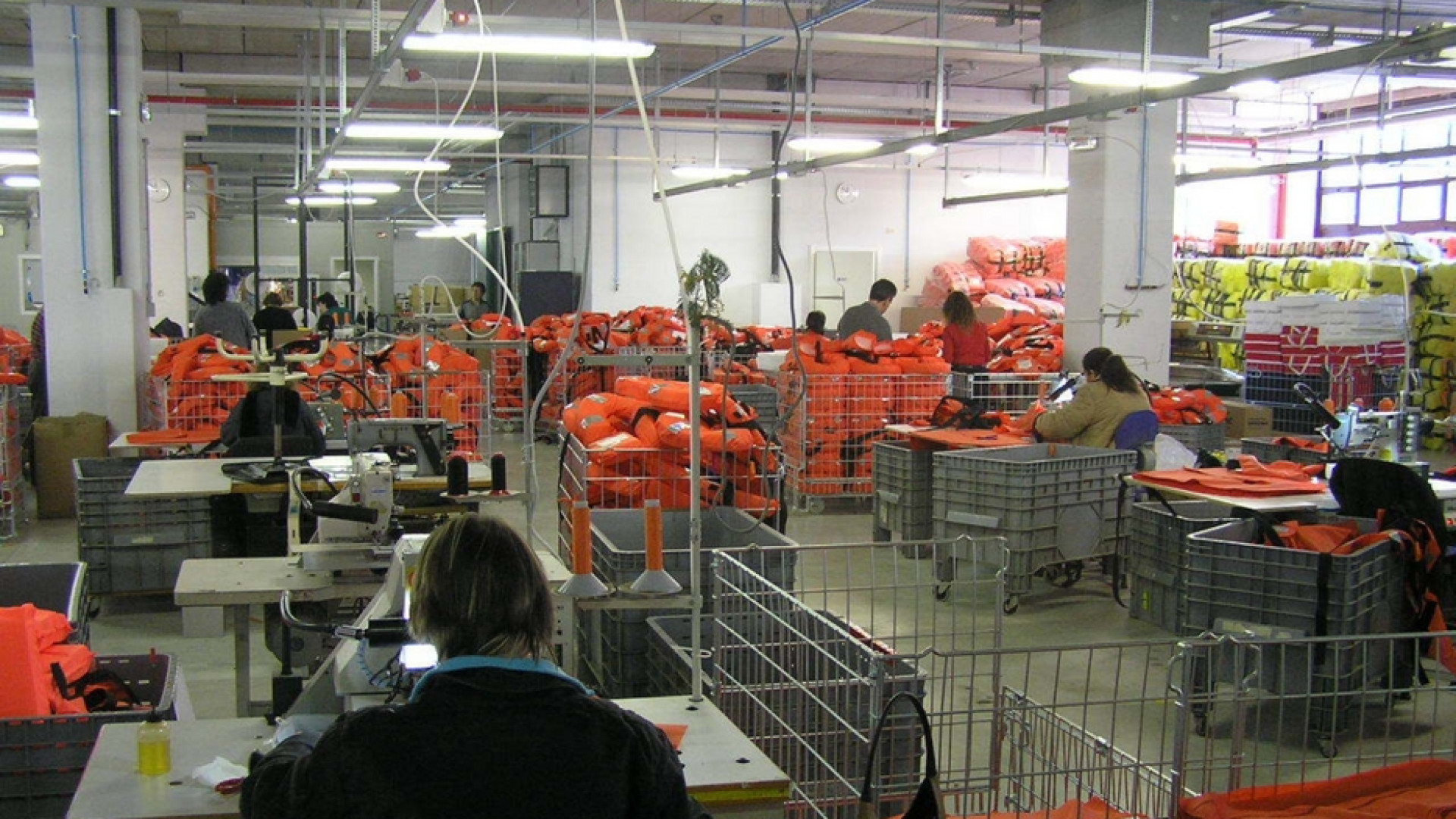 Immagine di Resilienza e sostenibilità: così le cooperative superano la pandemia