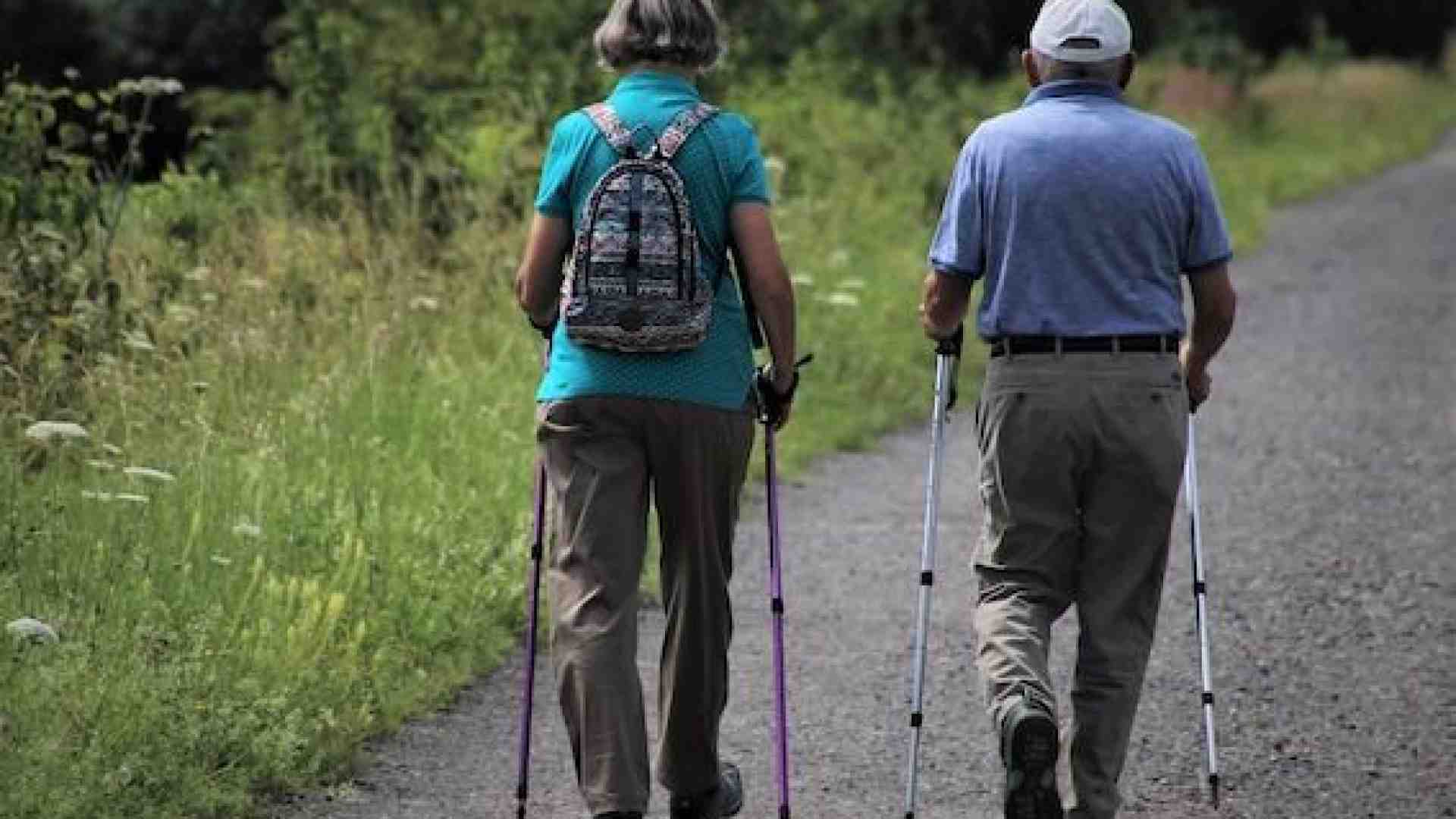 Immagine di Un passo dopo l'altro si guadagna in benessere