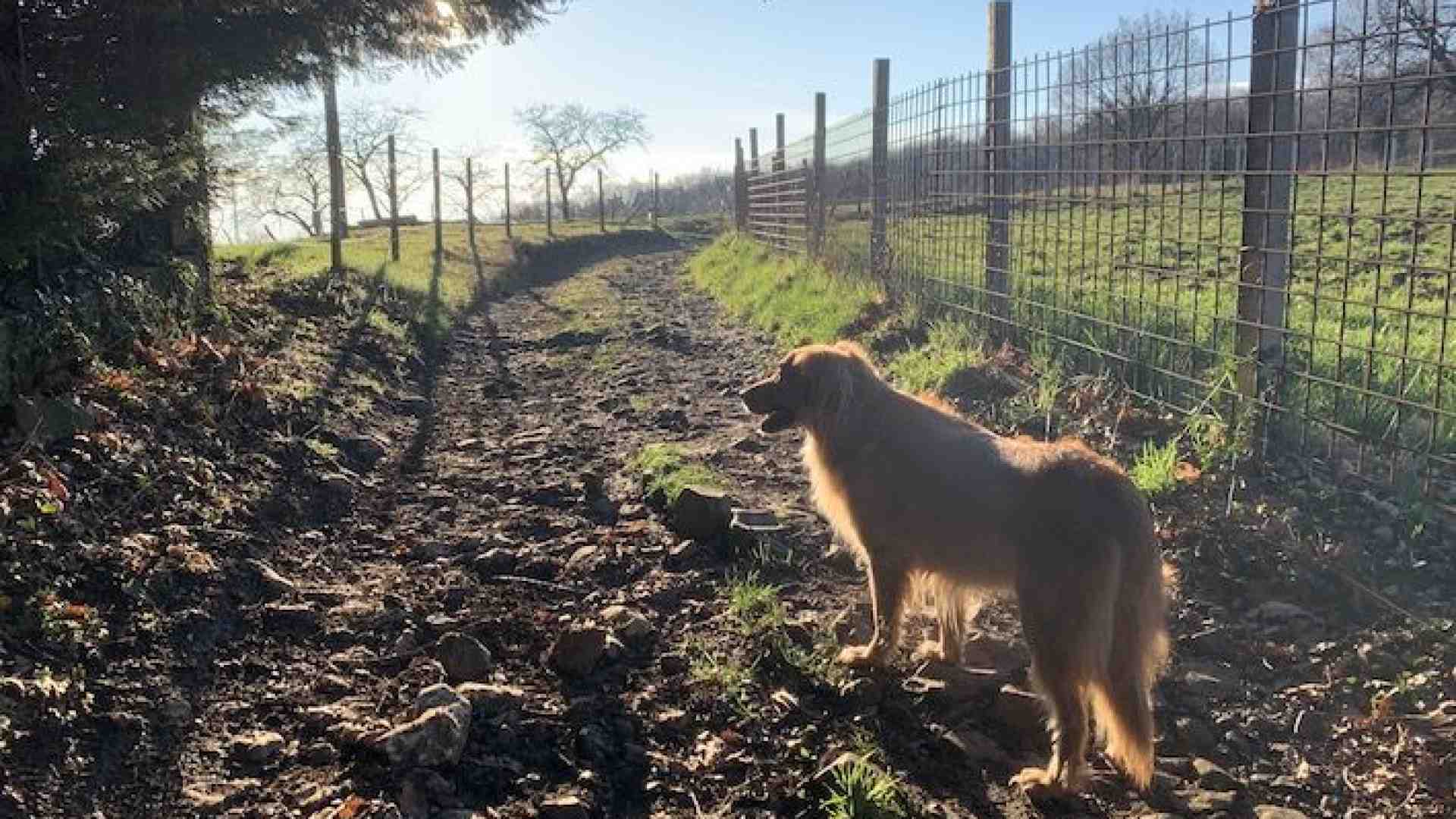 Immagine di I sentieri incantati di Montecchio tra natura, buon cibo e panorami