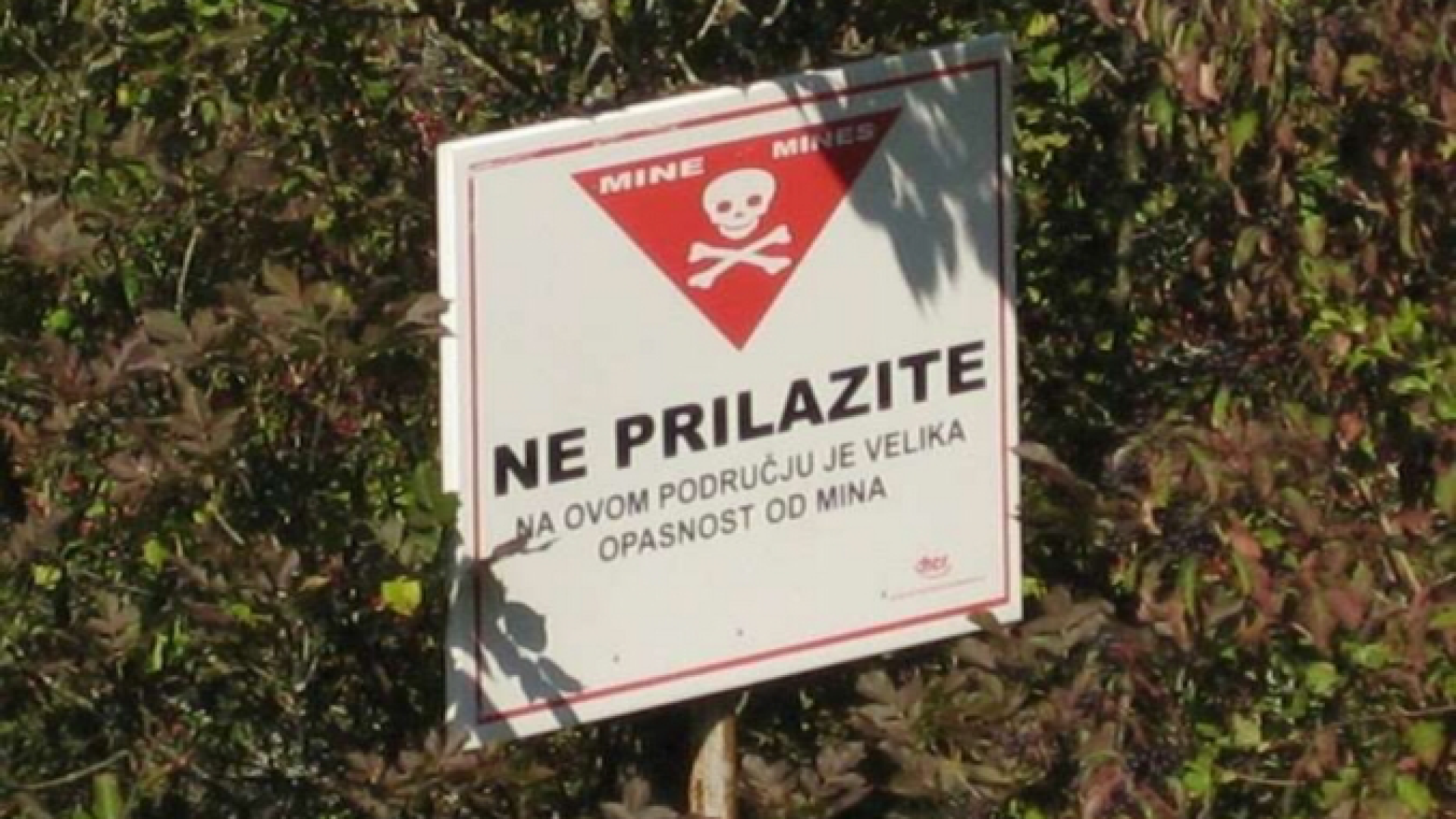 Immagine di Croazia, profugo ucciso da una mina antiuomo. Una decina i feriti
