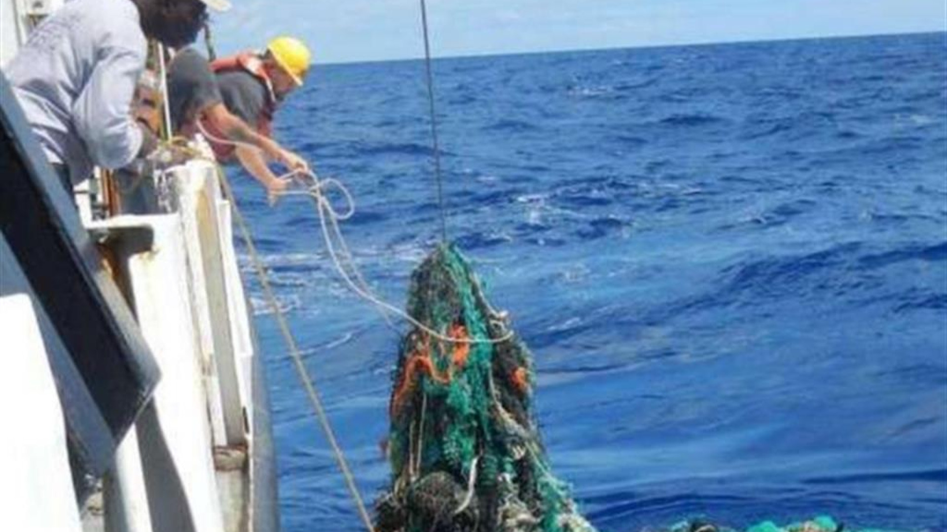 Immagine di Competenze "verdi" richieste per quattro assunzioni su cinque