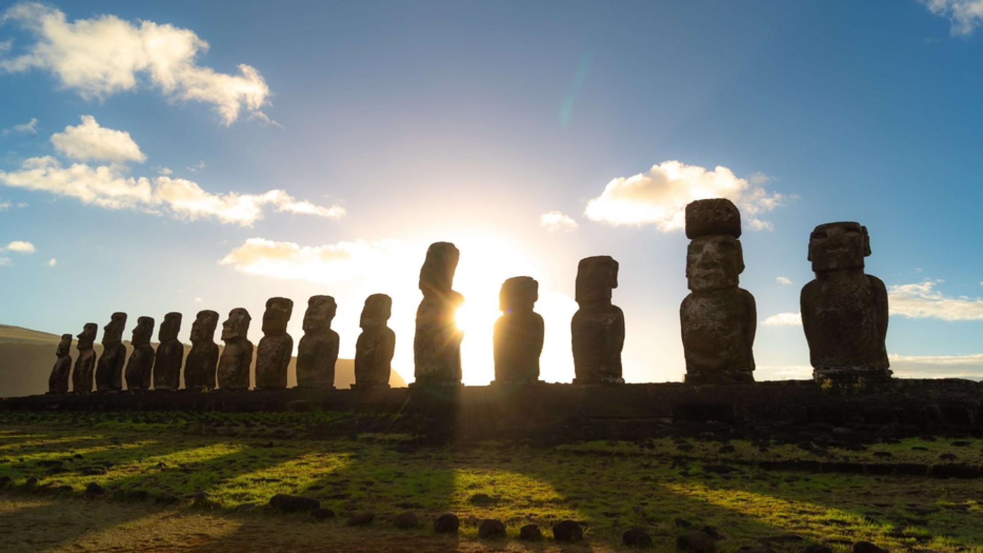 Immagine di La cura delle radici: l'antico monito di Rapa Nui