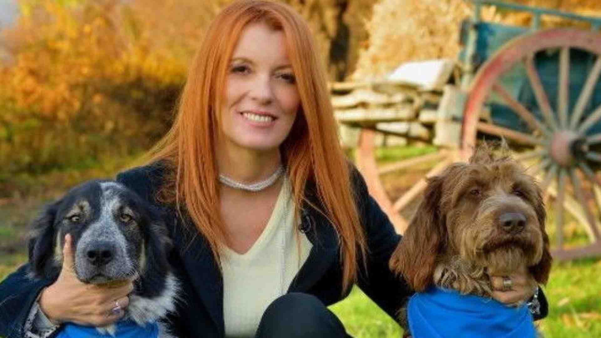 Immagine di Amici degli uomini ma pur sempre animali