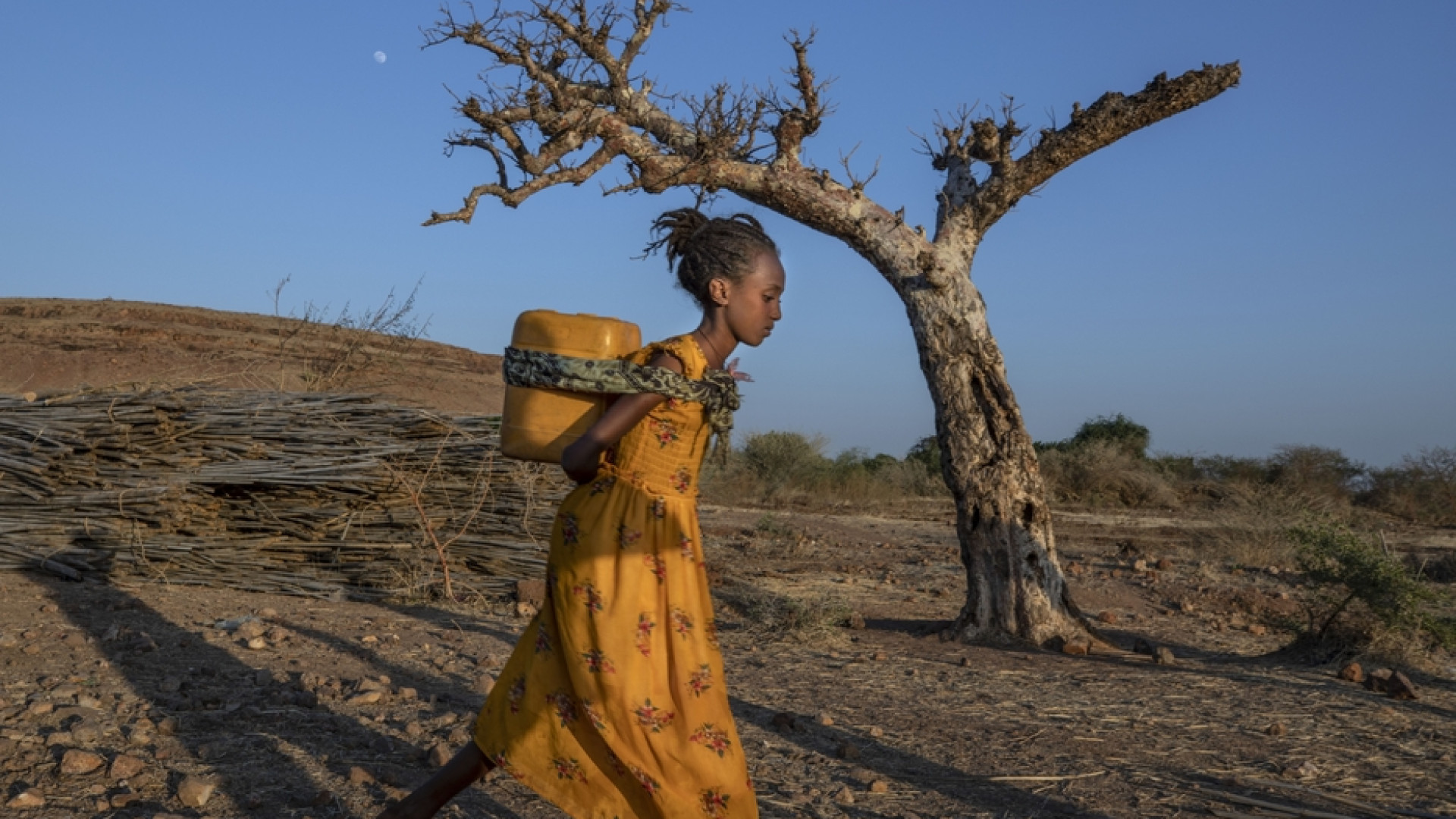 Immagine di Il premier Abiy annuncia il ritiro delle truppe eritree dal Tigrai