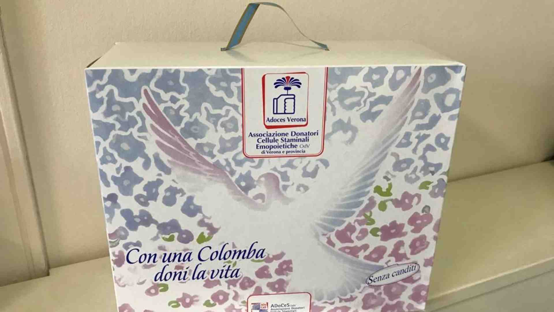 Immagine di Colombe solidali di Adoces per finanziare borse di studio