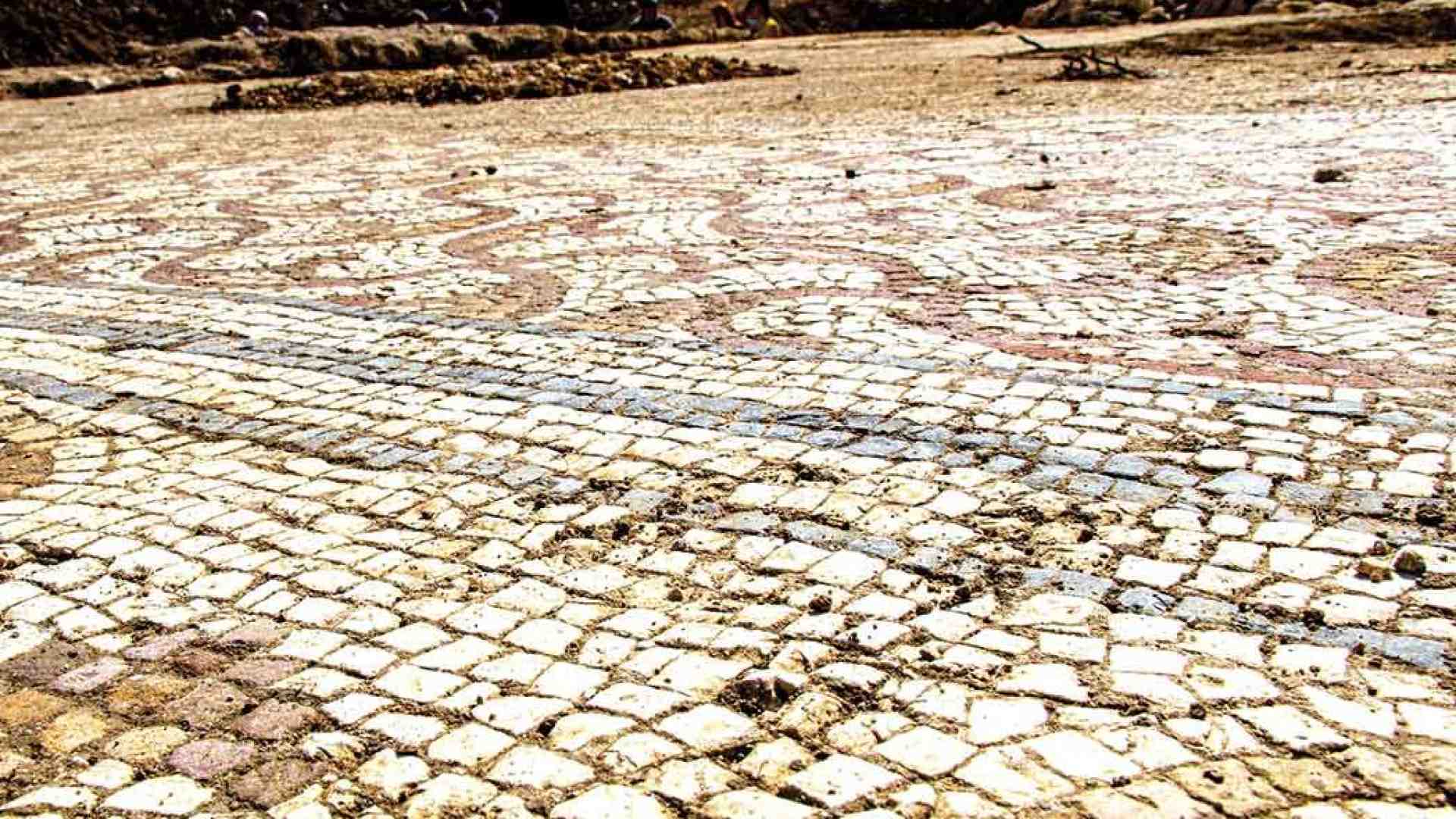 Immagine di Negrar. Mosaici in mezzo ai vigneti