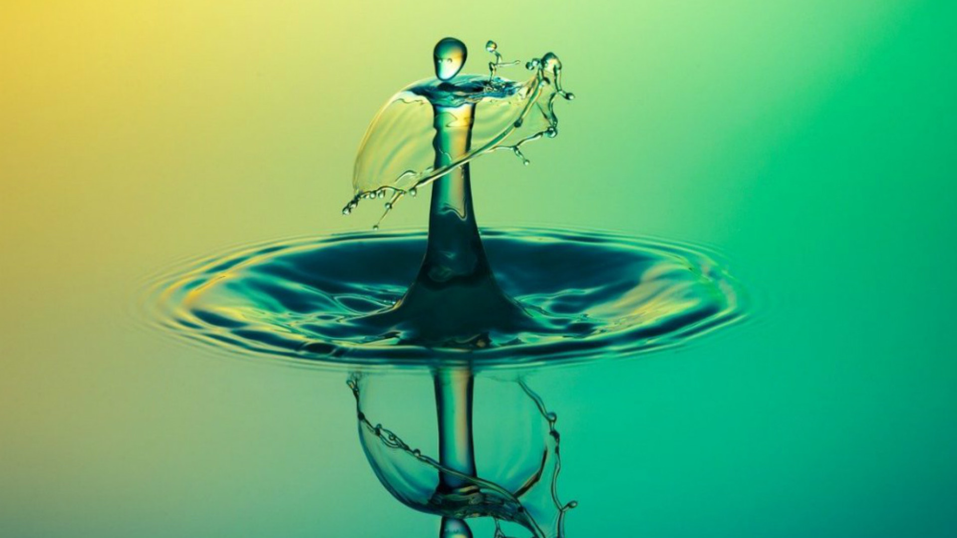 Immagine di Obiettivo zero emissioni: dalla cogenerazione all’idrogeno green, Cremona punta sull'economia circolare