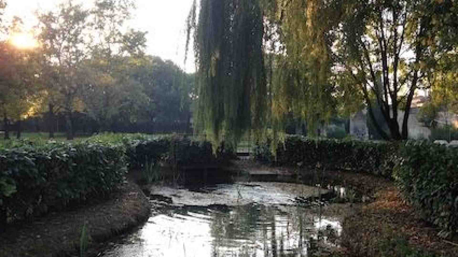 Immagine di Povegliano. Concorso letterario sulle risorgive rivolto a bambini e ragazzi