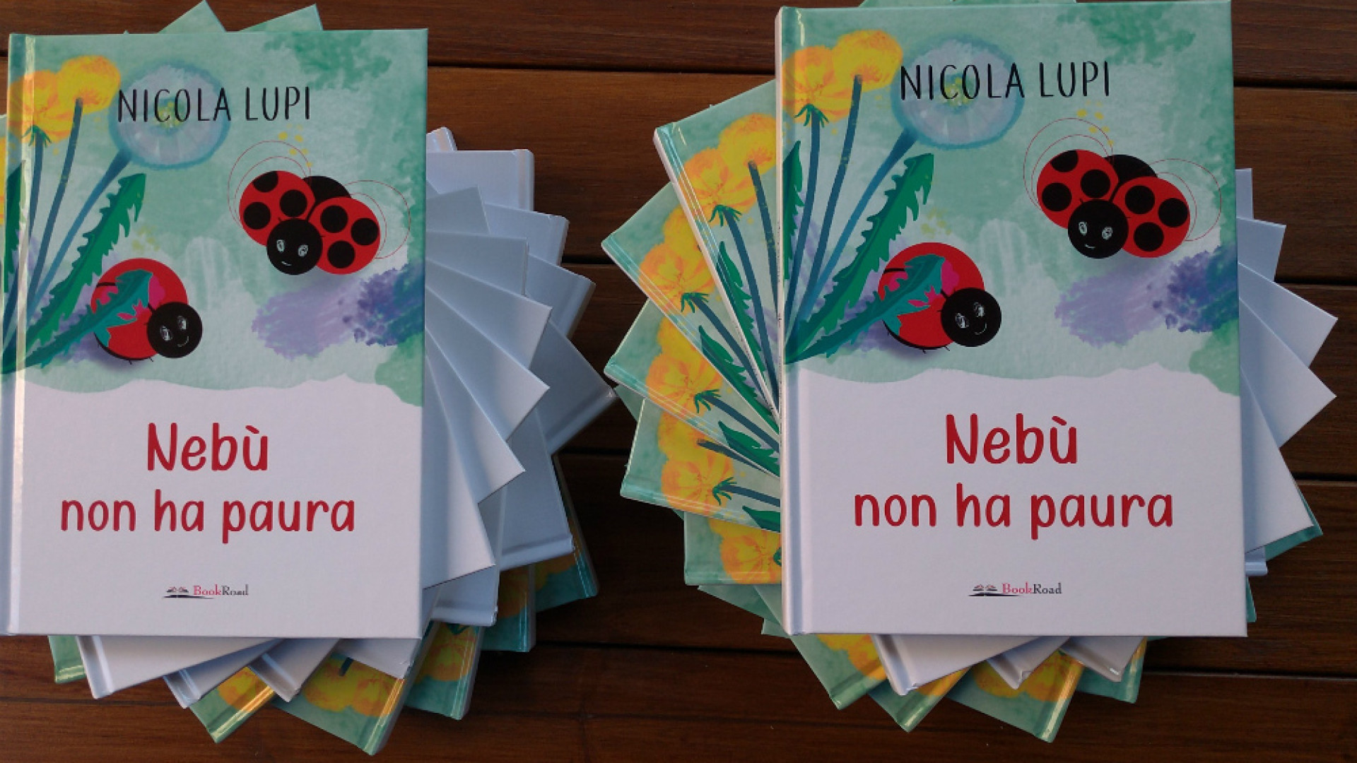 Immagine di «Nebù, coccinella che insegna ad avere coraggio»