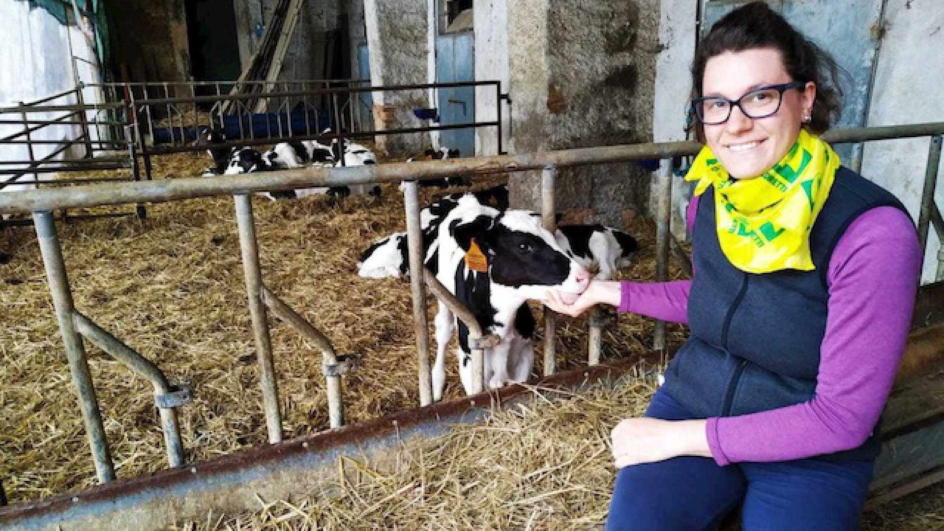 Immagine di Azienda agricola Fassera, al via il nuovo caseificio