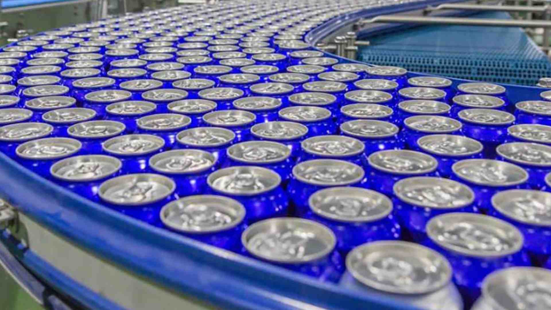 Immagine di Nogara. La multinazionale che stimola la solidarietà