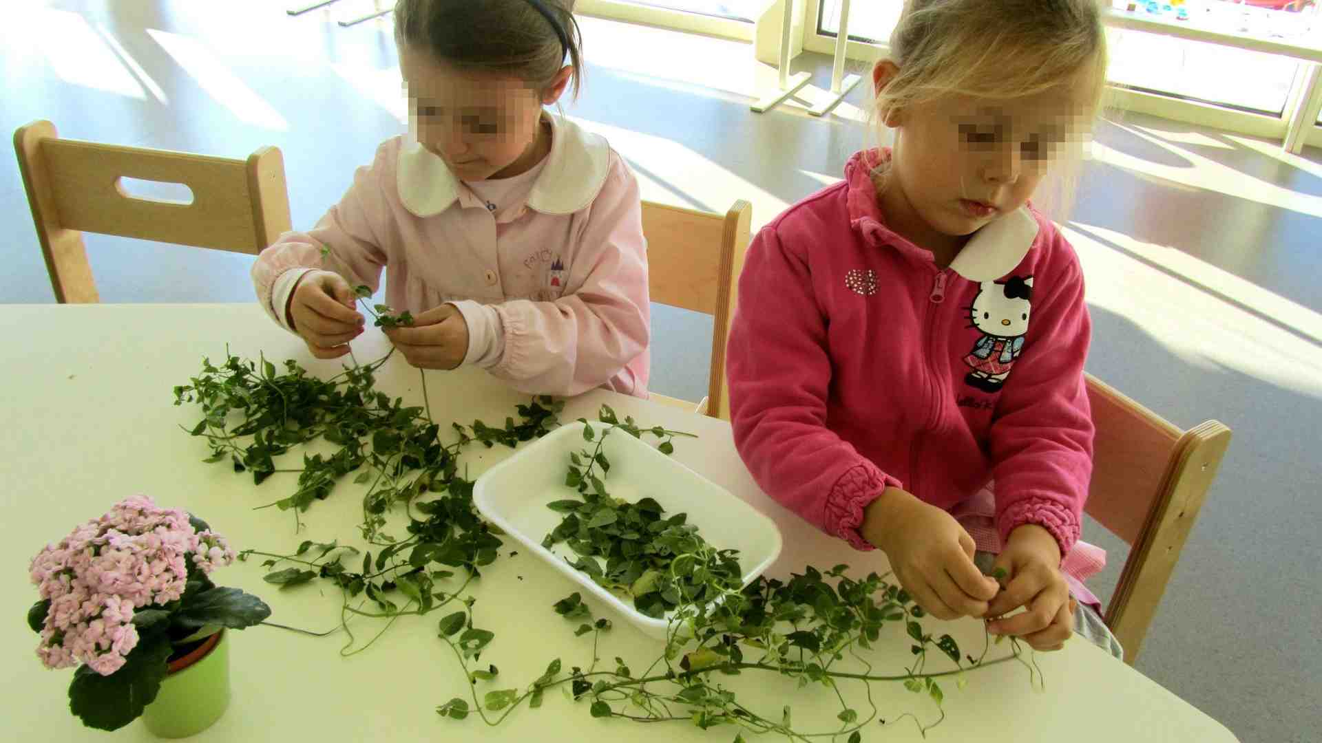Immagine di «Prima i bambini, gratuità e parità per l’infanzia»