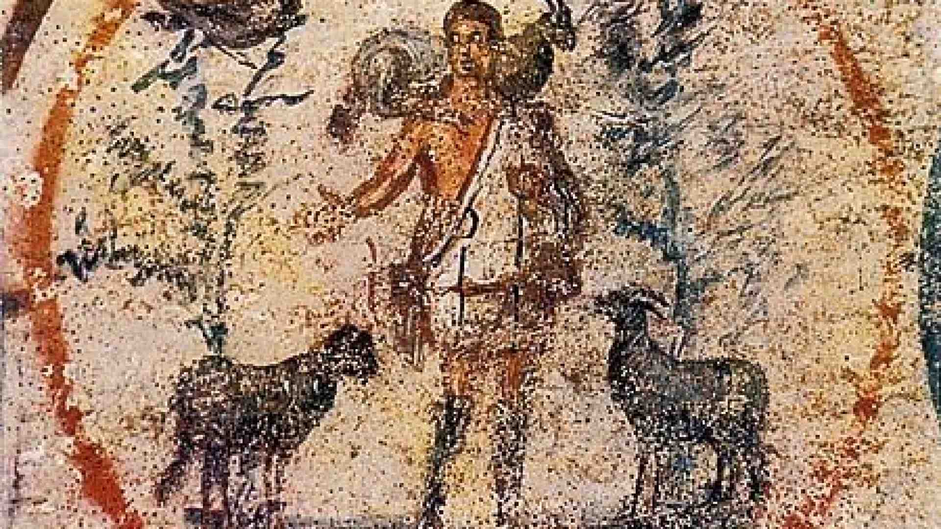 Immagine di Amati da Cristo e custoditi nell’unico ovile