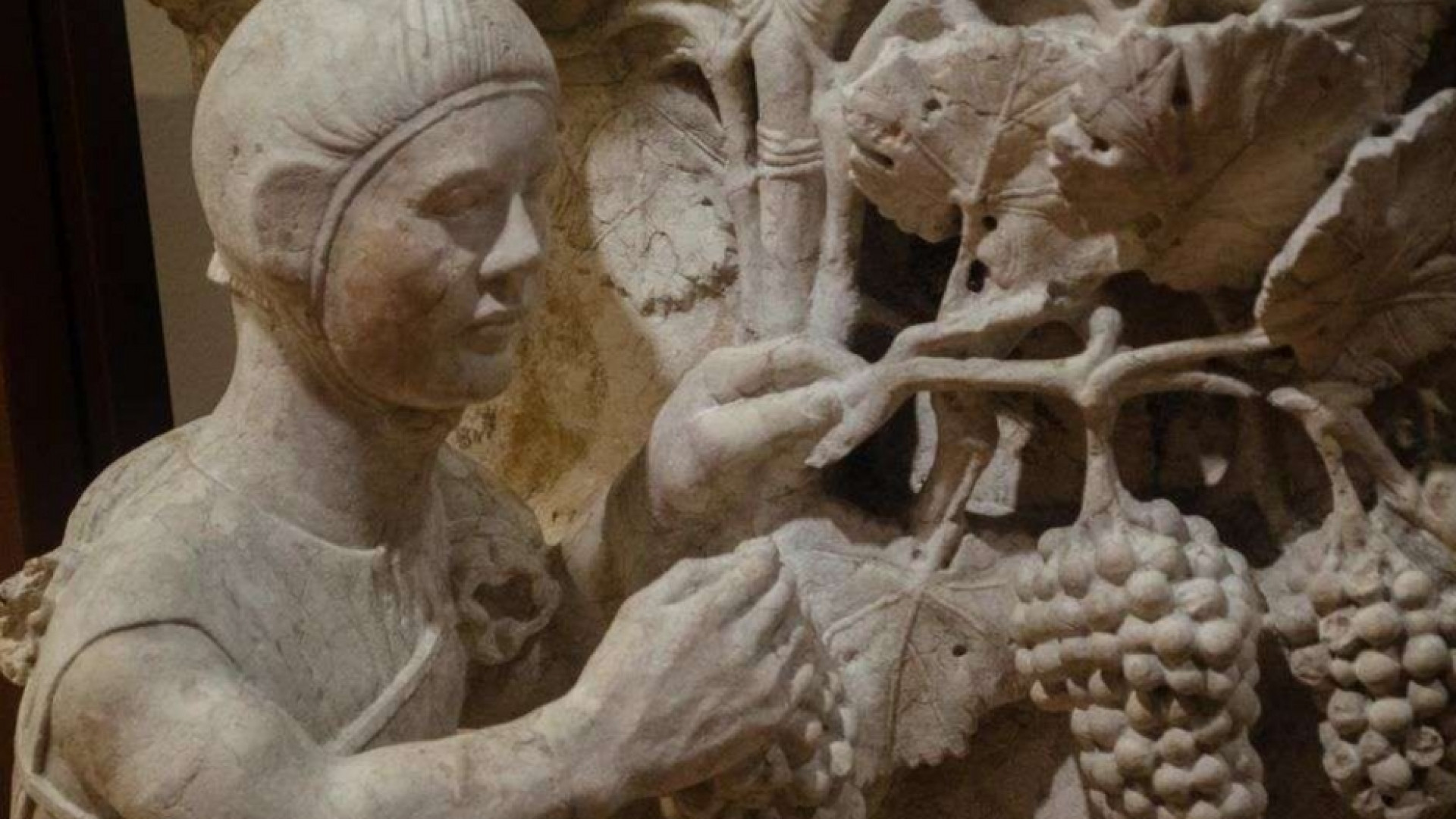 Immagine di Più che pulite, Dio chiede mani colme di vendemmia