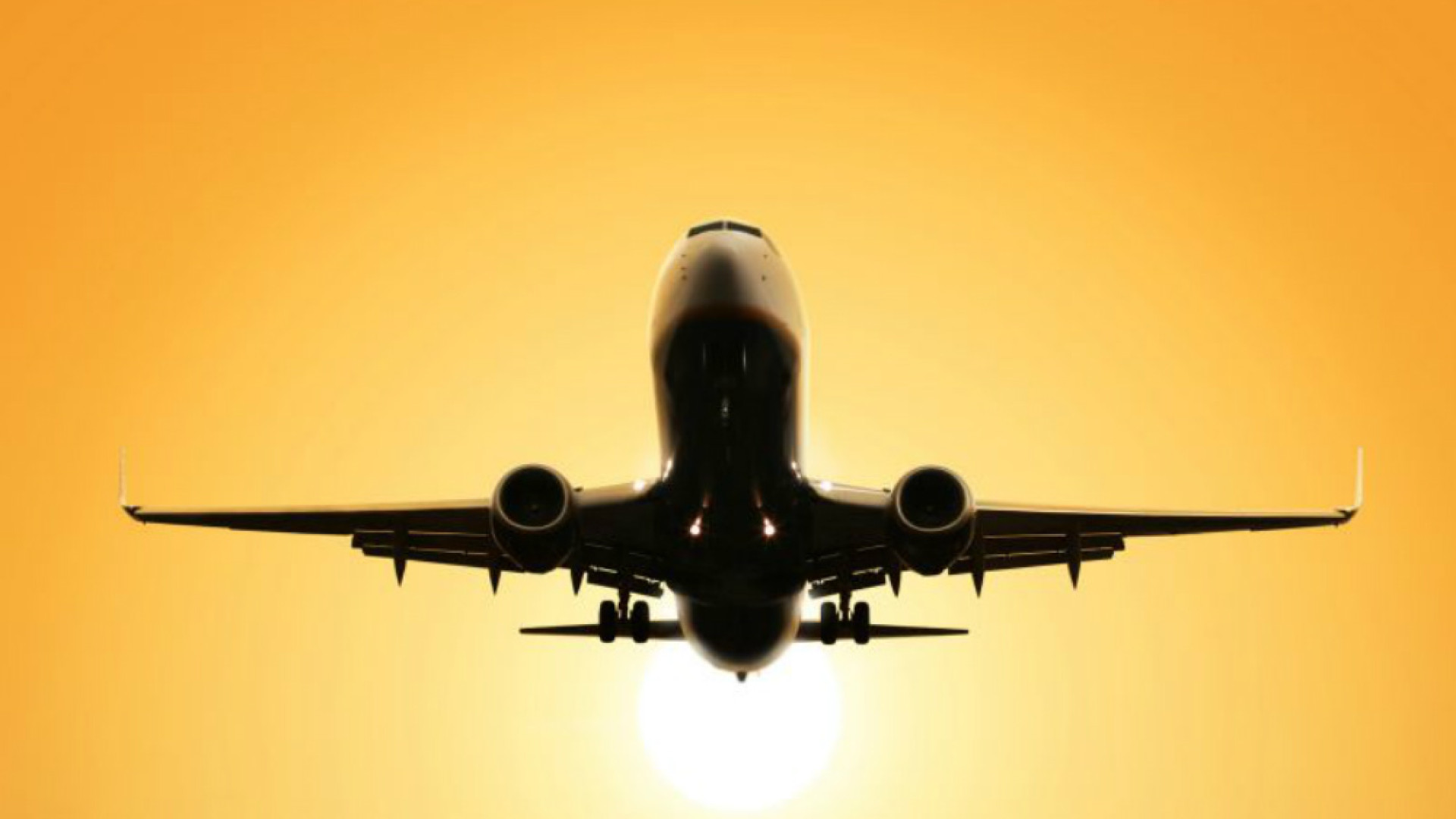 Immagine di Folgorato da un "Jumbo" Alitalia