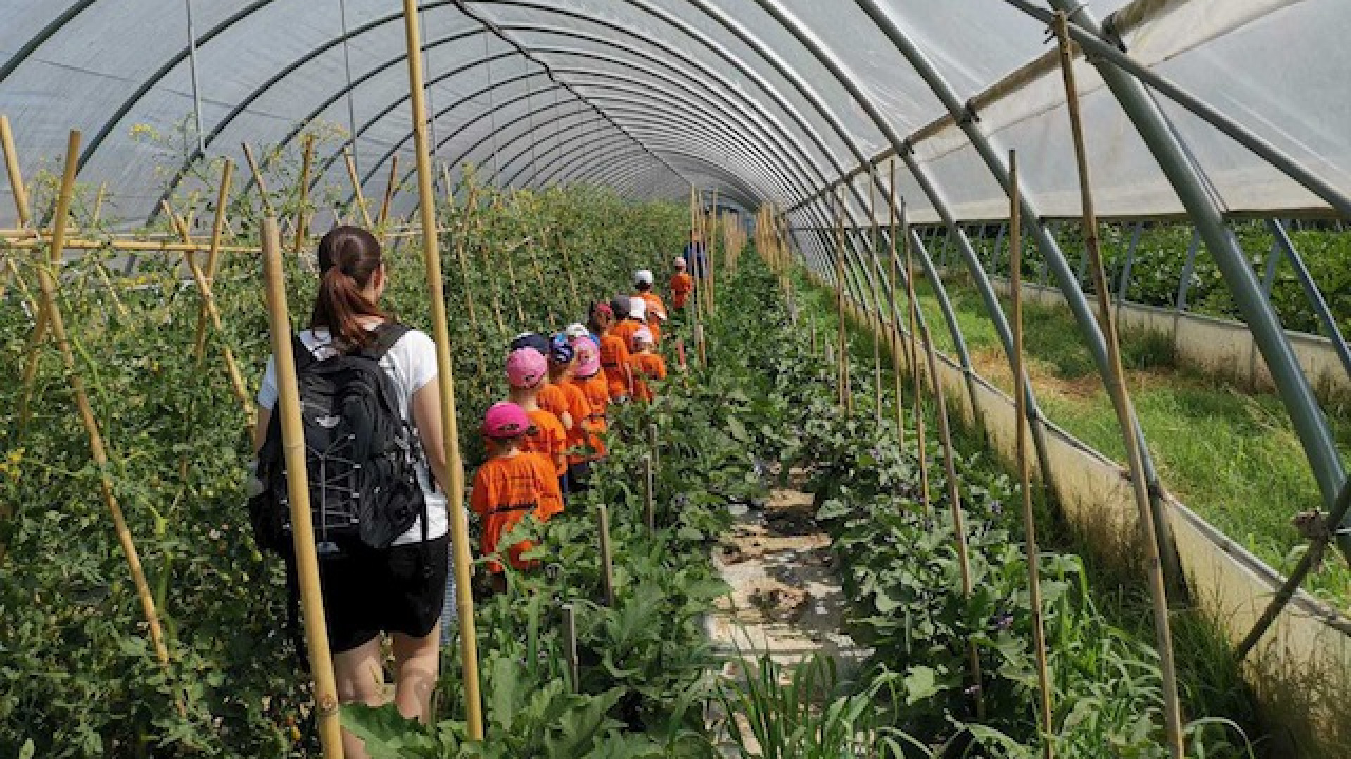 Immagine di L’agricoltura tende la mano alla fragilità