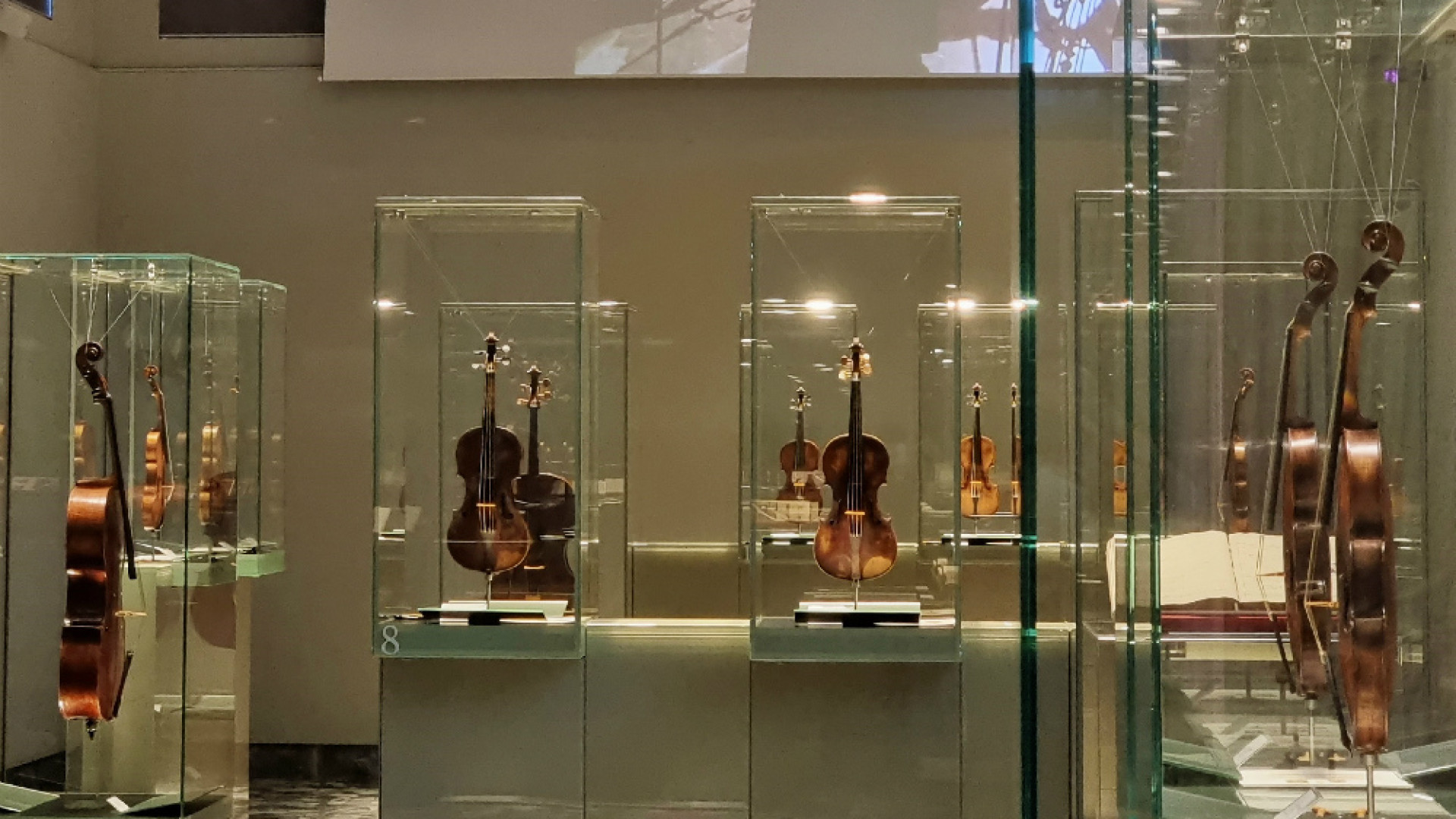 Immagine di Tra i “violini di Vivaldi”