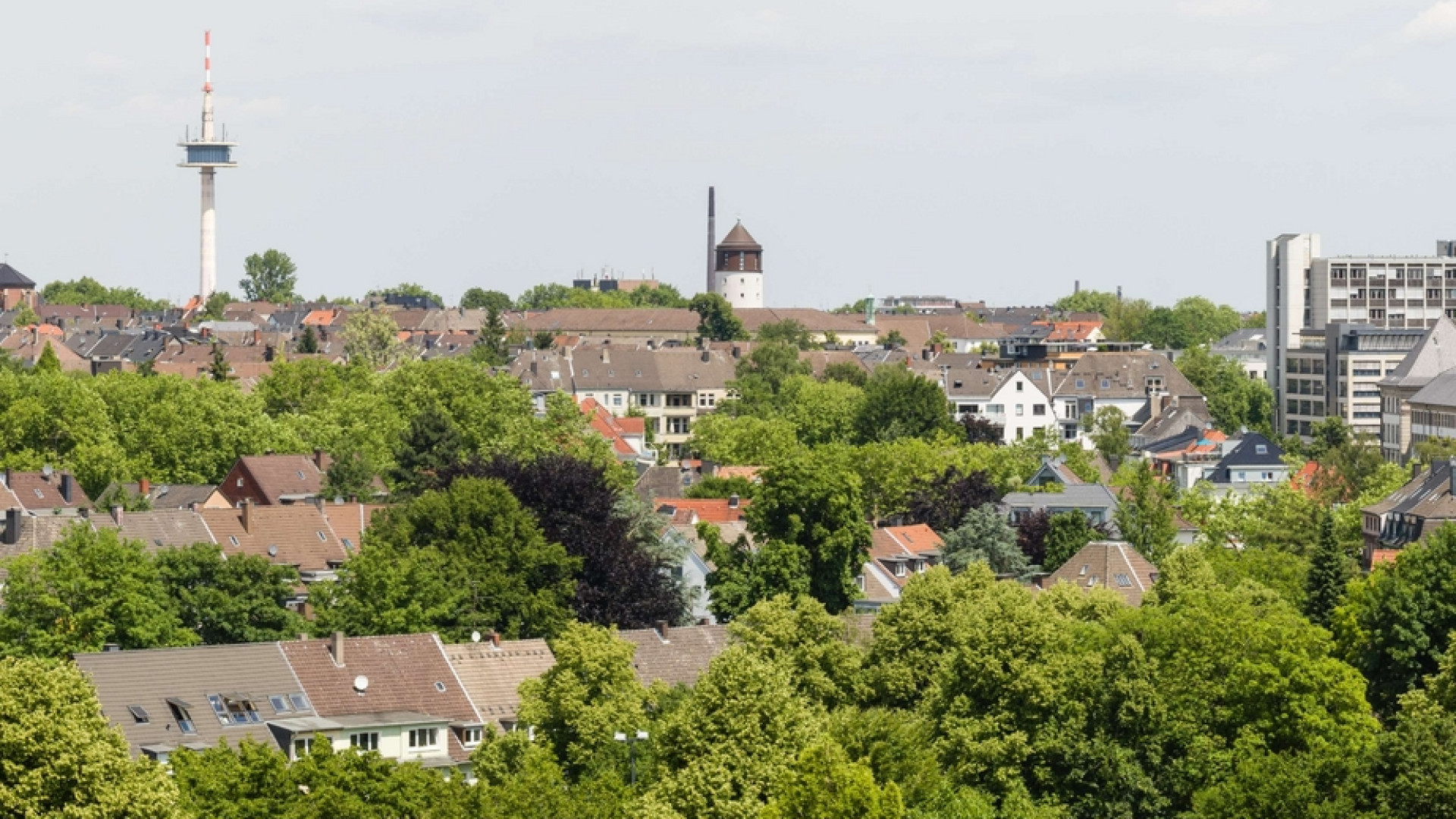 Immagine di Grandi boschi e parchi urbani. Così le città europee si fanno verdi