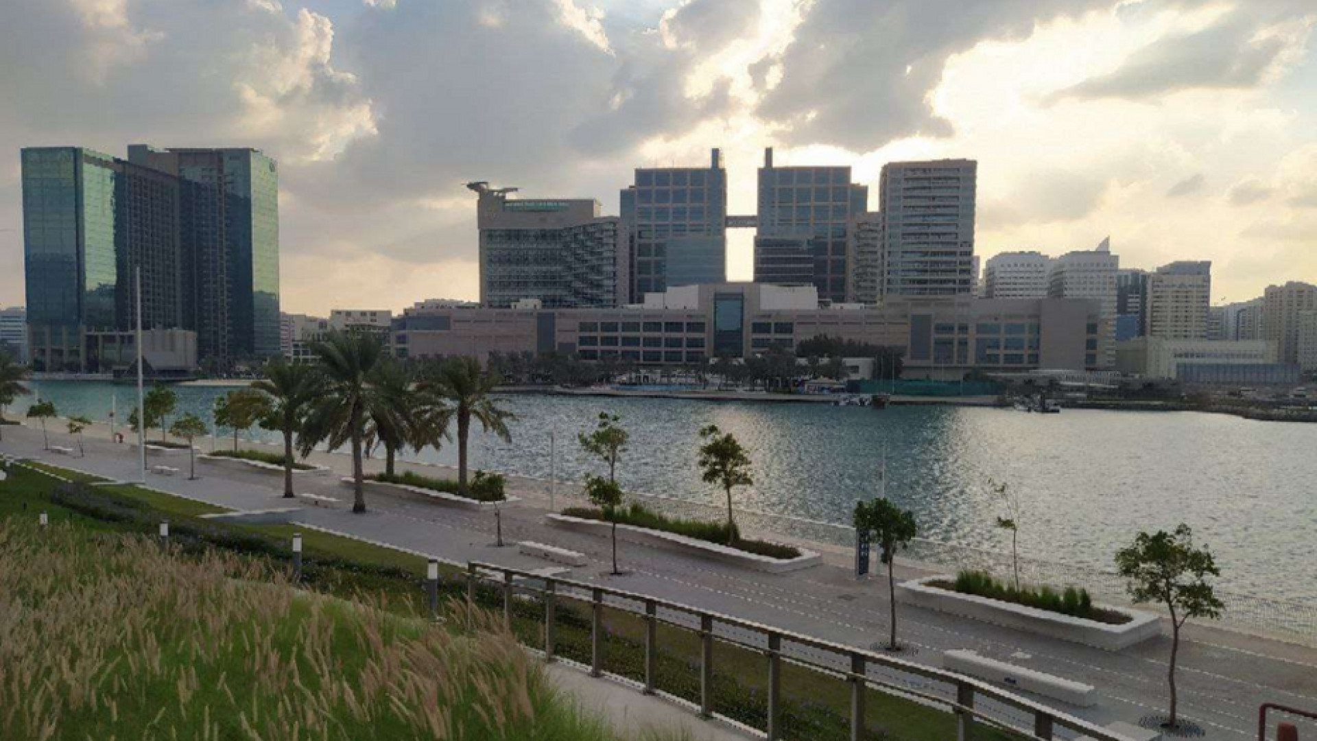 Immagine di Emirati Arabi, dalle armi alla cooperazione
