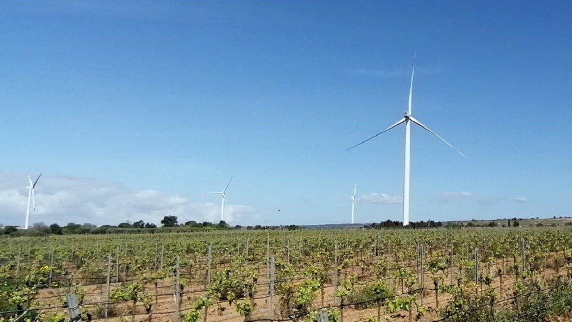 Immagine di Lo sviluppo di rinnovabili in Italia si è fermato