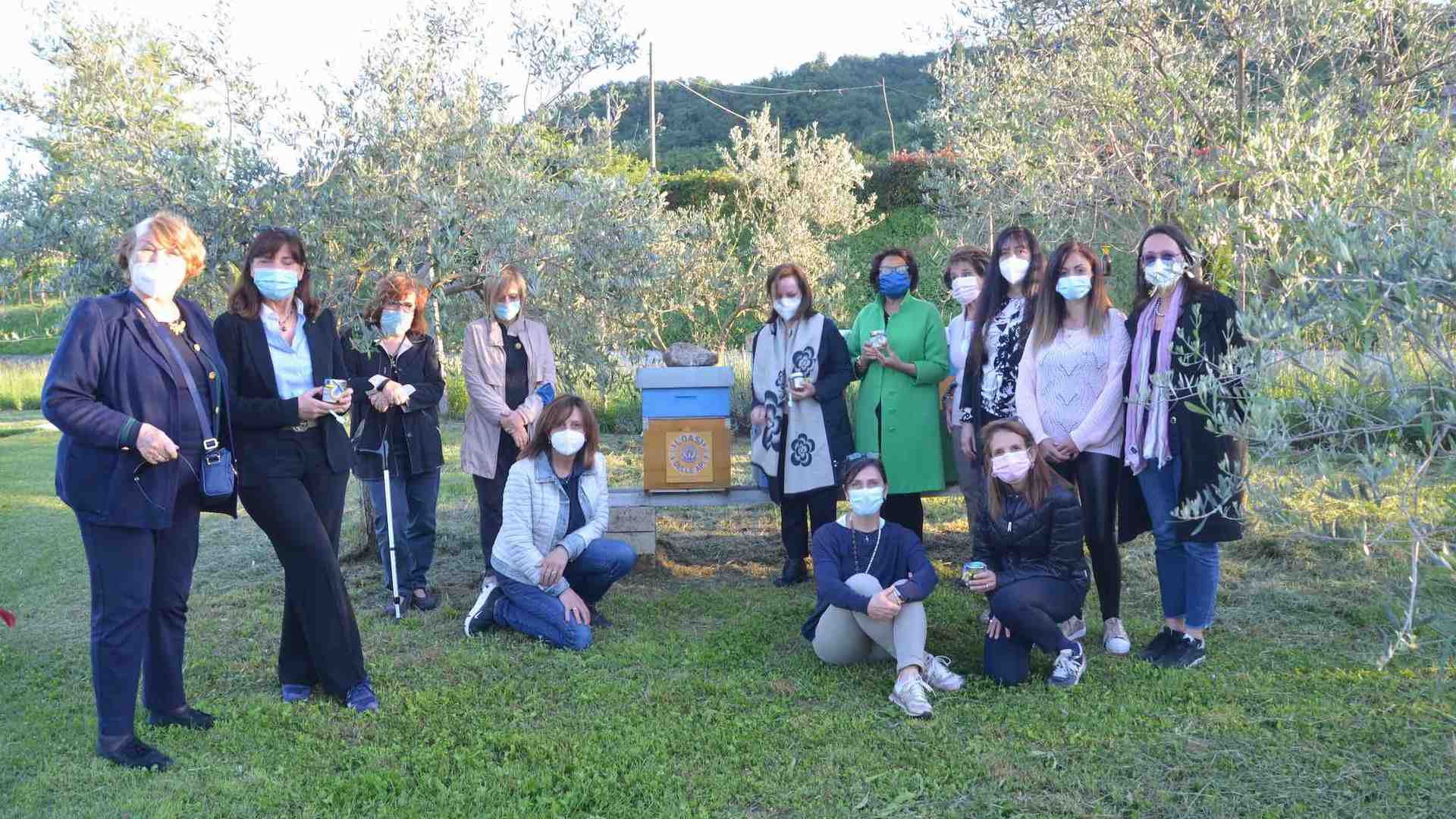 Immagine di Api in via d’estinzione? Ci pensa Soroptimist Verona