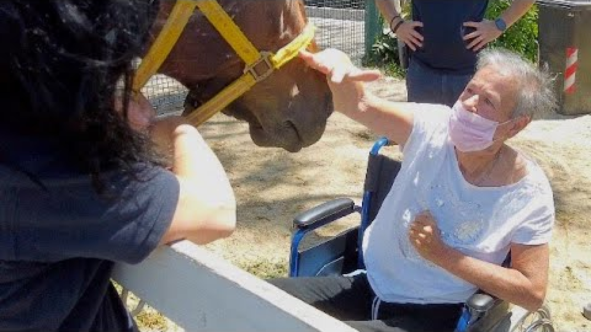 Immagine di «Dal Covid si può uscire. A cavallo»