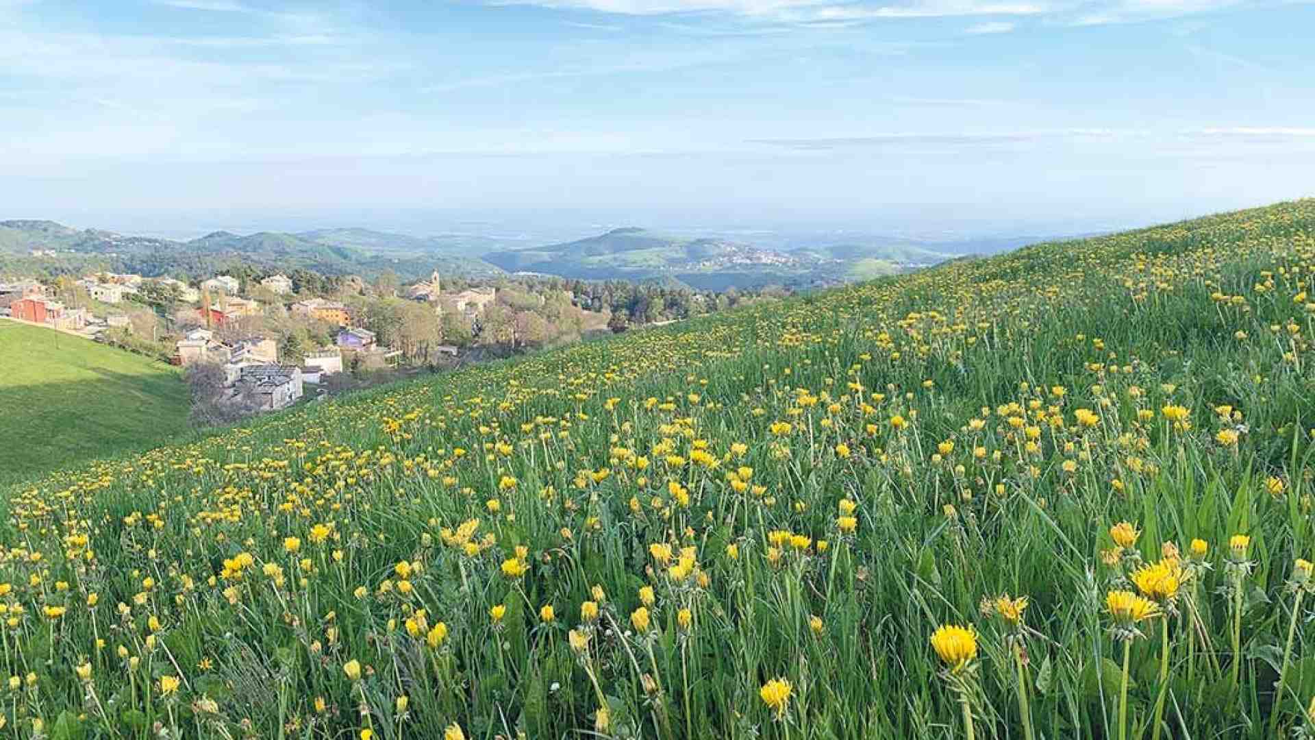 Immagine di Vado a vivere sui monti: la nuova frontiera