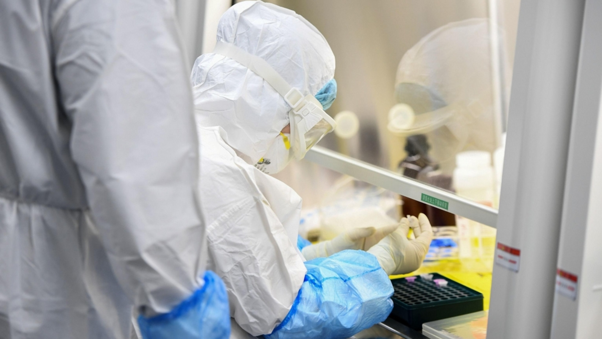 Immagine di «Ritrovate le prime prove genetiche del virus di Wuhan»