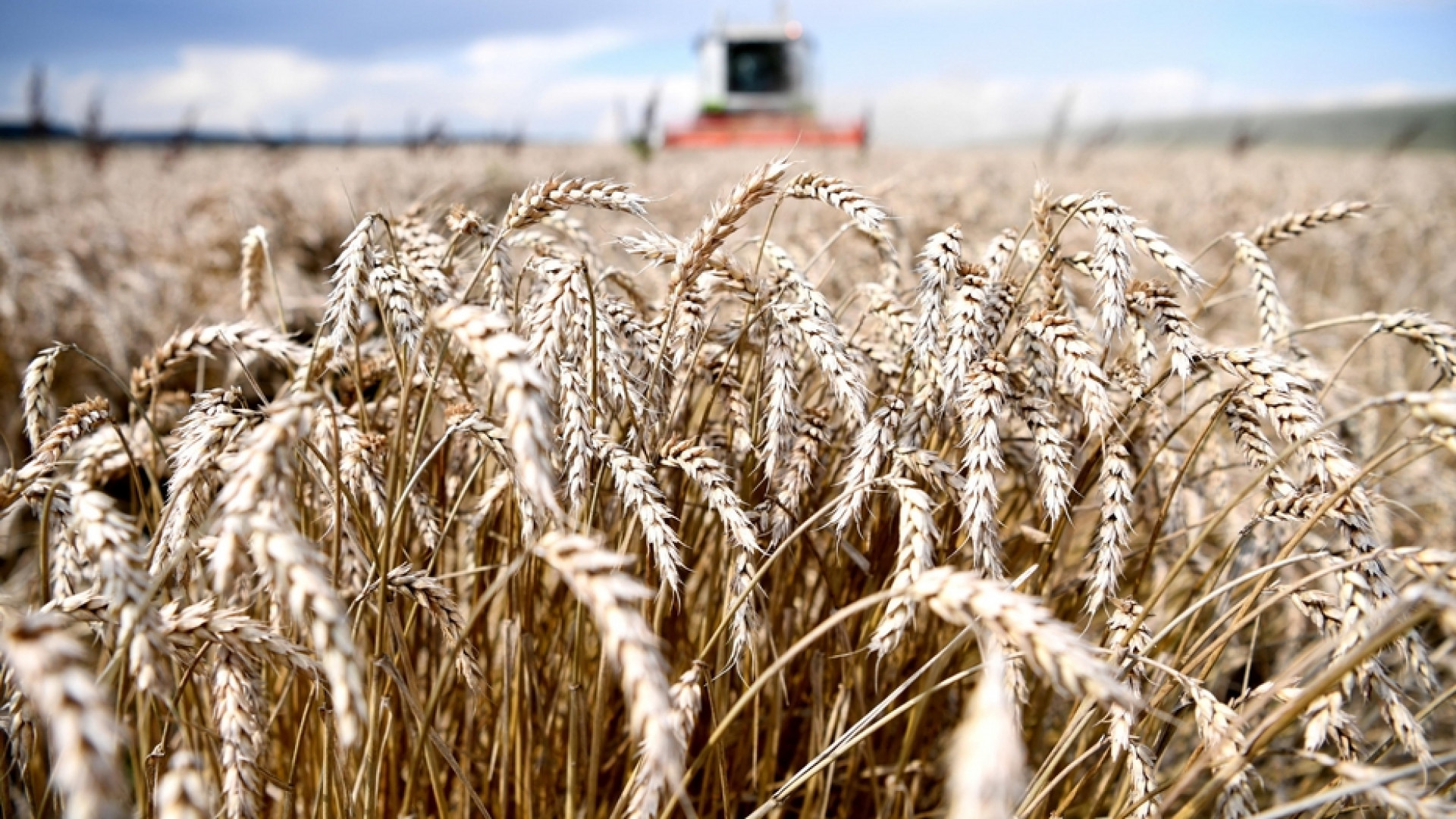 Immagine di Sulla biodinamica si gioca una scelta di campo