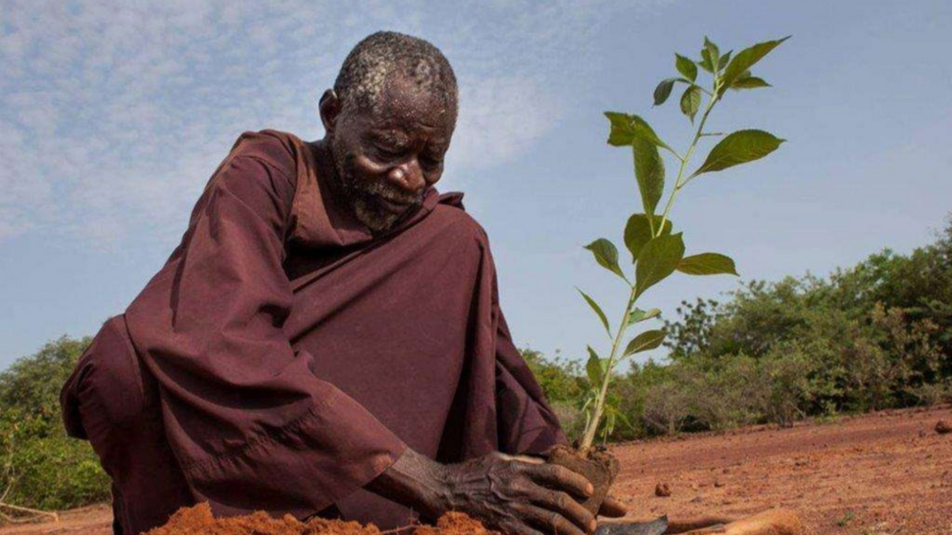 Immagine di La tenacia di Sawadogo, l’uomo che ha salvato i frutti della sua terra