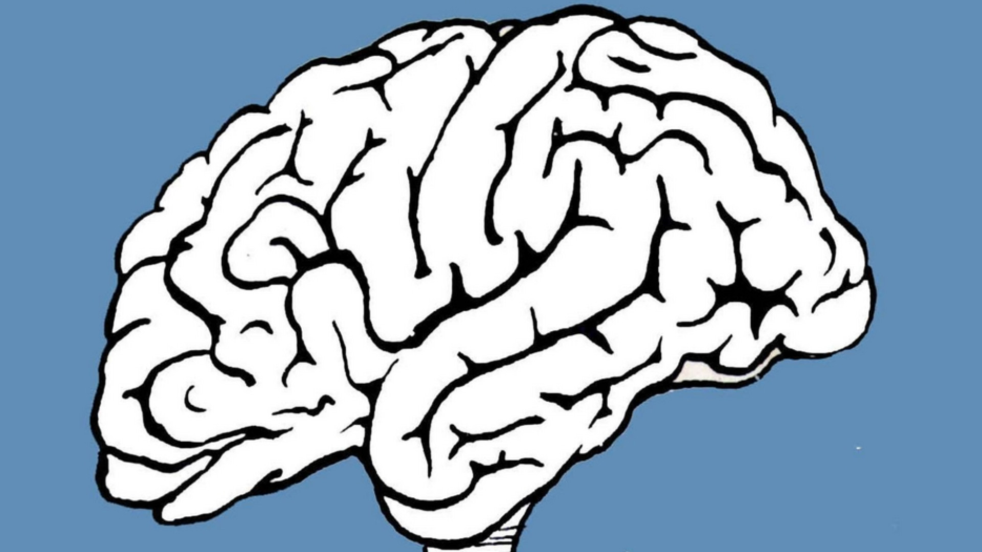Immagine di Le neuroscienze cambieranno tutto?