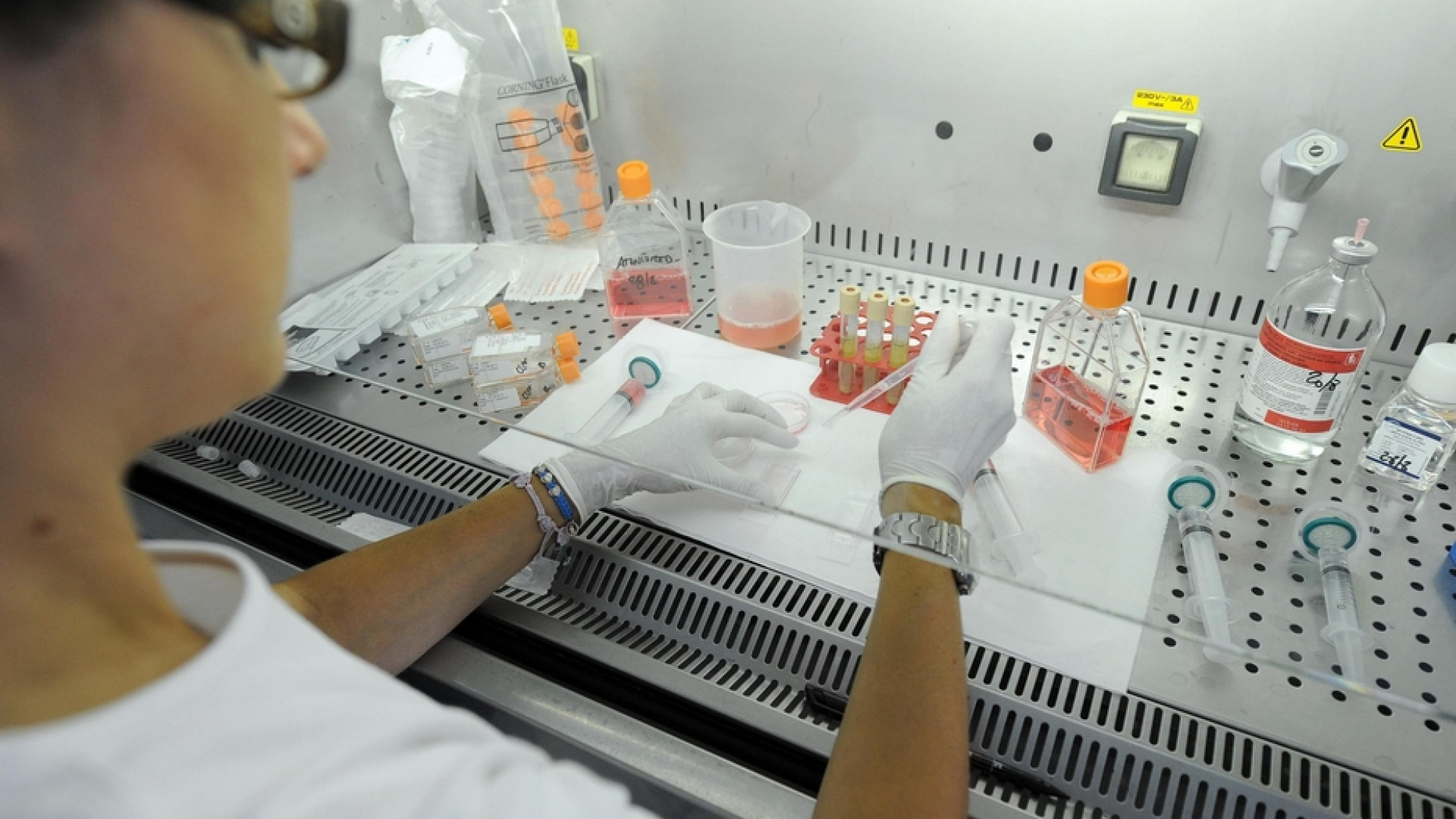 Immagine di Fa discutere la «bioetica alla francese»: provetta per tutte, embrioni ibride