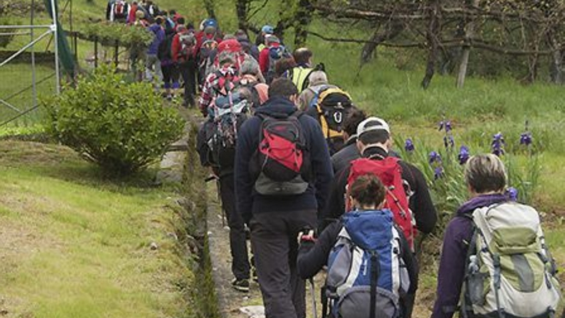Immagine di Da 25 anni tutta Italia in cammino sui Sentieri Frassati