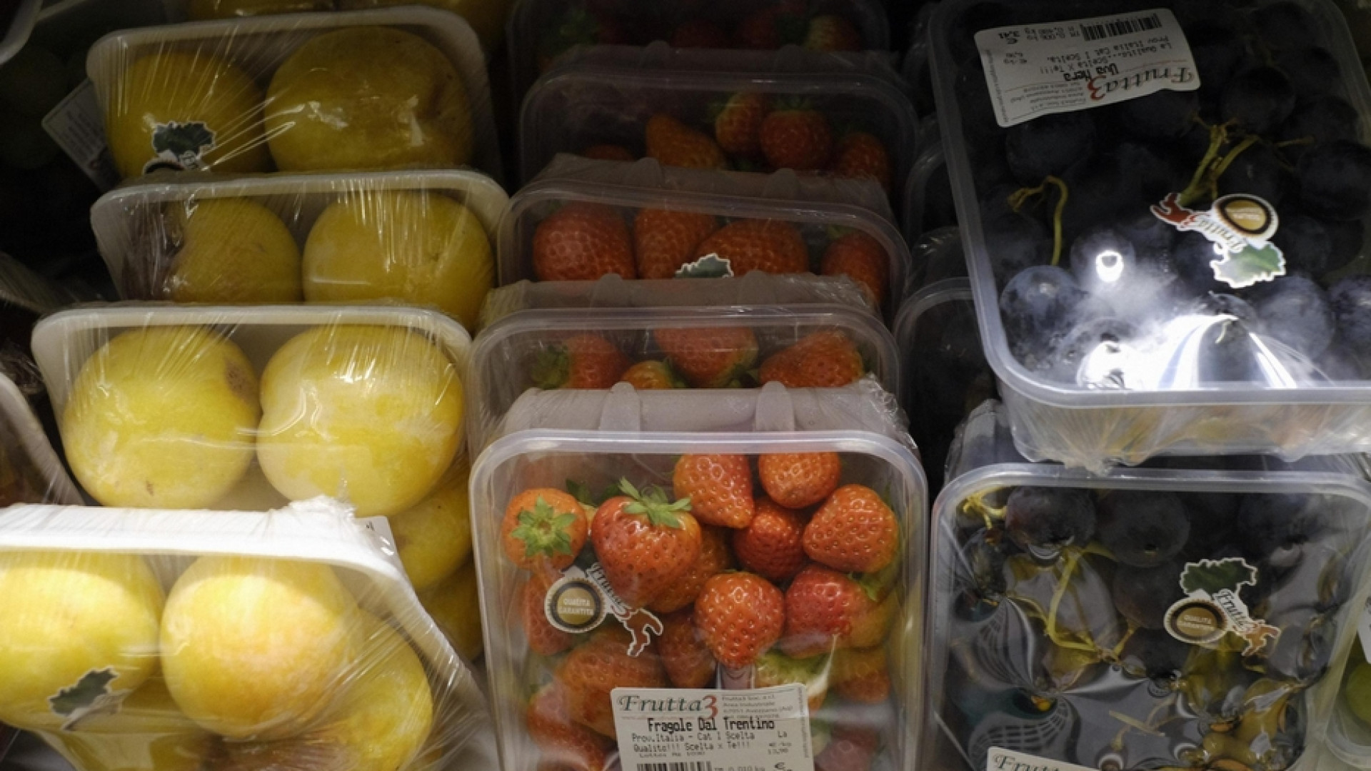 Immagine di Stop alla plastica monouso. Ma per le aziende italiane è una norma indigesta