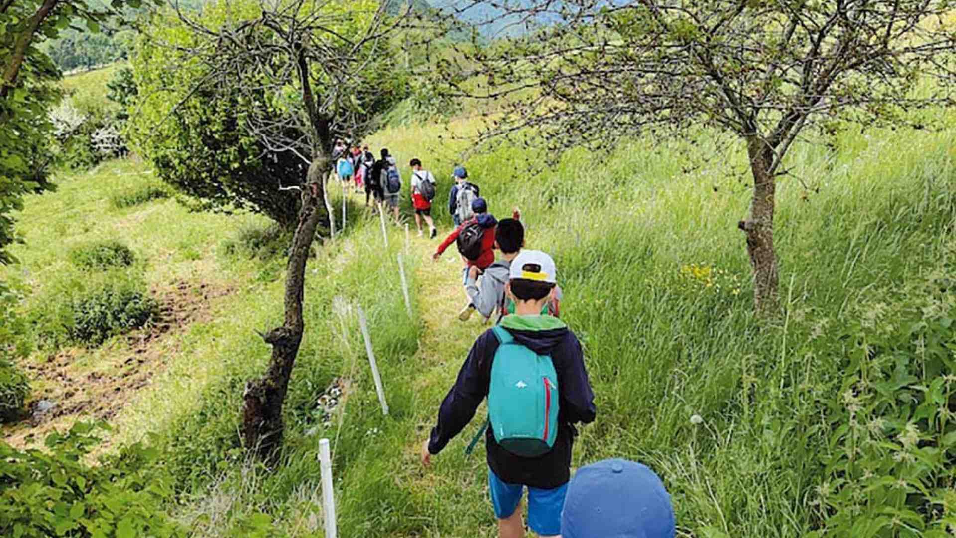 Immagine di Up Sant'Ambrogio - Domegliara. Due campiscuola a Campofontana, segnali di ritorno alla normalità