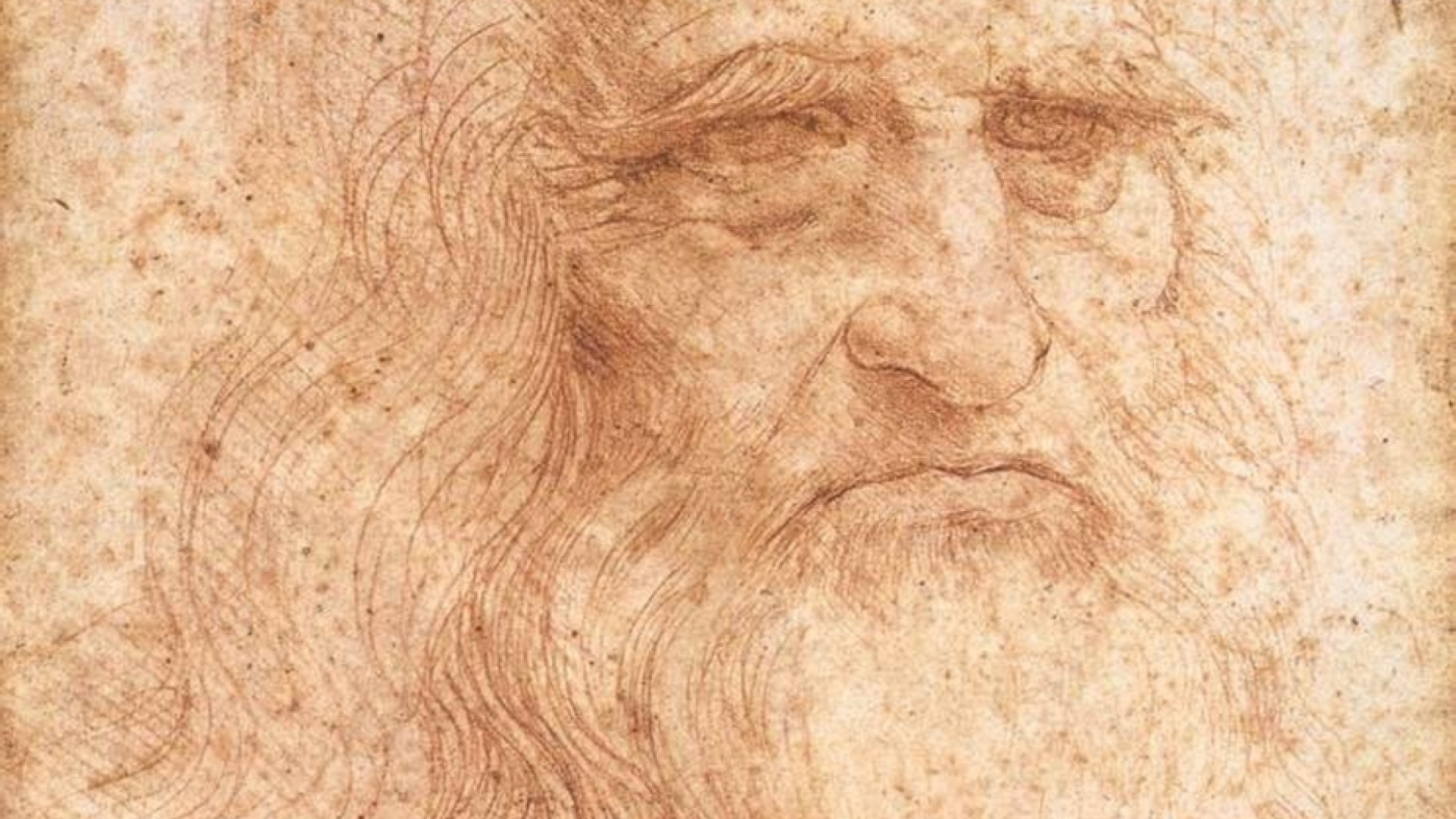 Immagine di Scoperti 14 discendenti viventi di Leonardo da Vinci