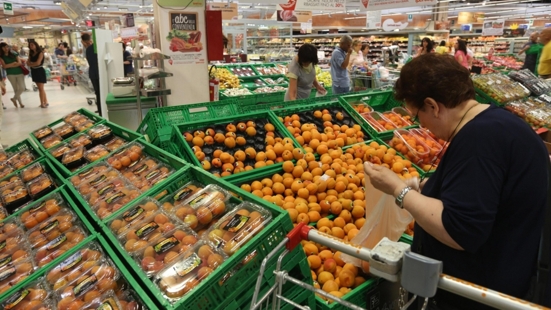 Immagine di L'enorme spreco della frutta: gettata solo perché «brutta»