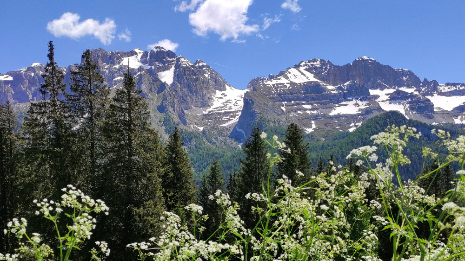 Immagine di In Val Gelada, oasi contro caldo e afa