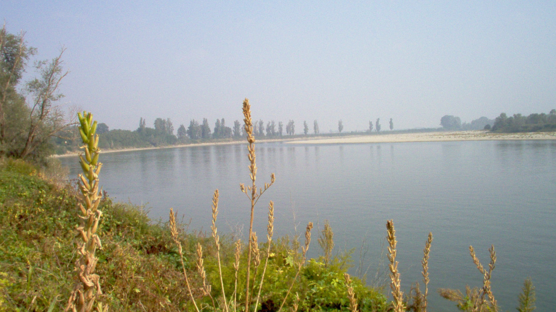 Immagine di Magia sul fiume