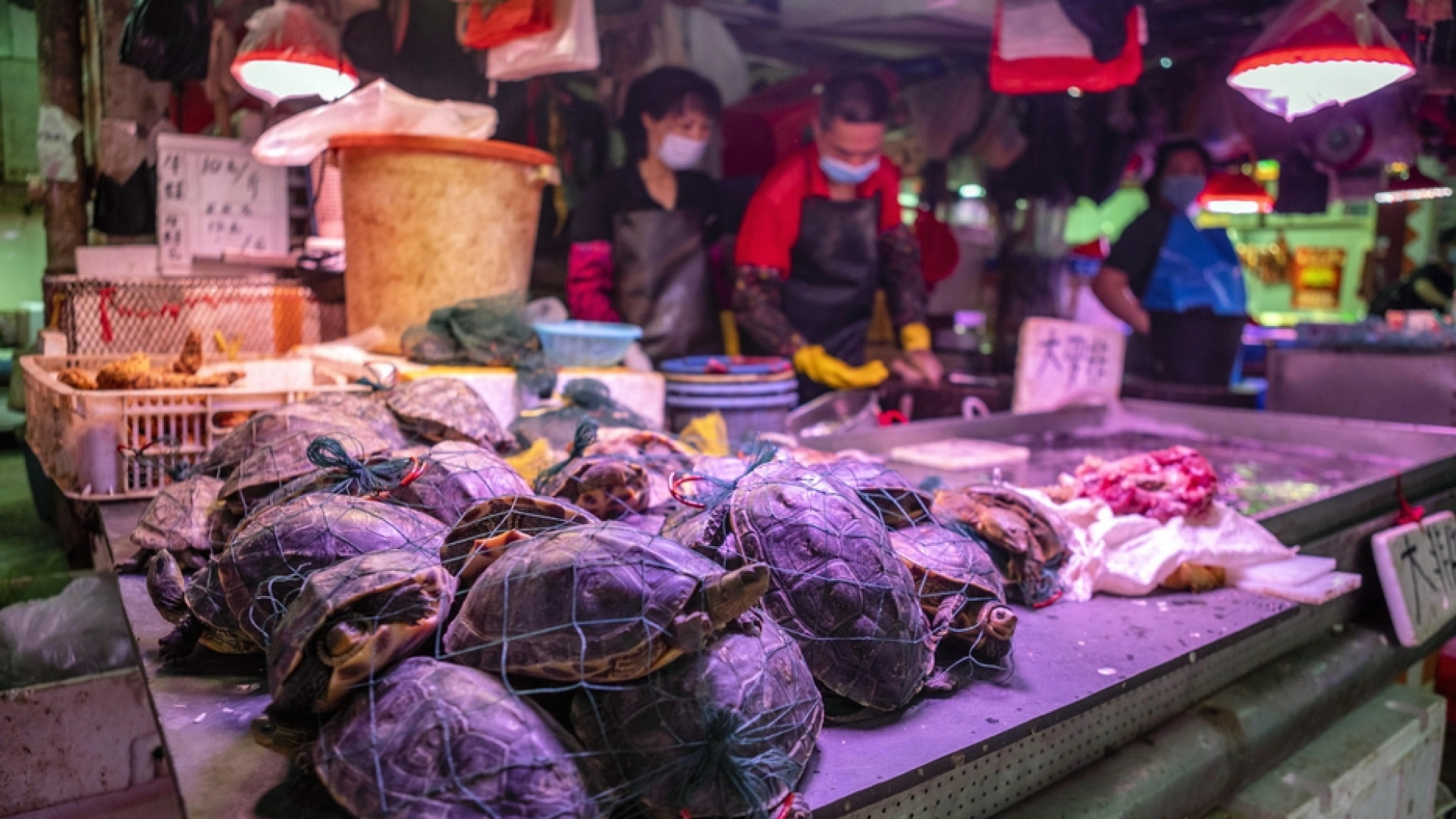 Immagine di La Cina non svolta sui wet market: restano aperte le «palestre dei virus»