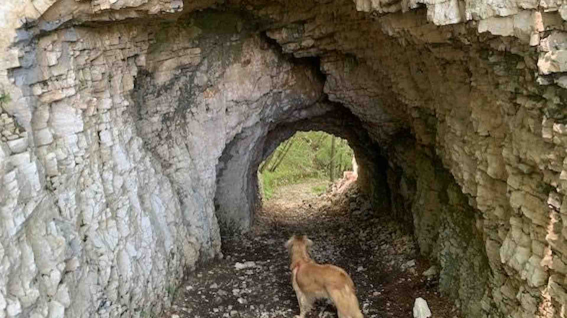 Immagine di Da Velo giù fino a Giazza in una natura straripante