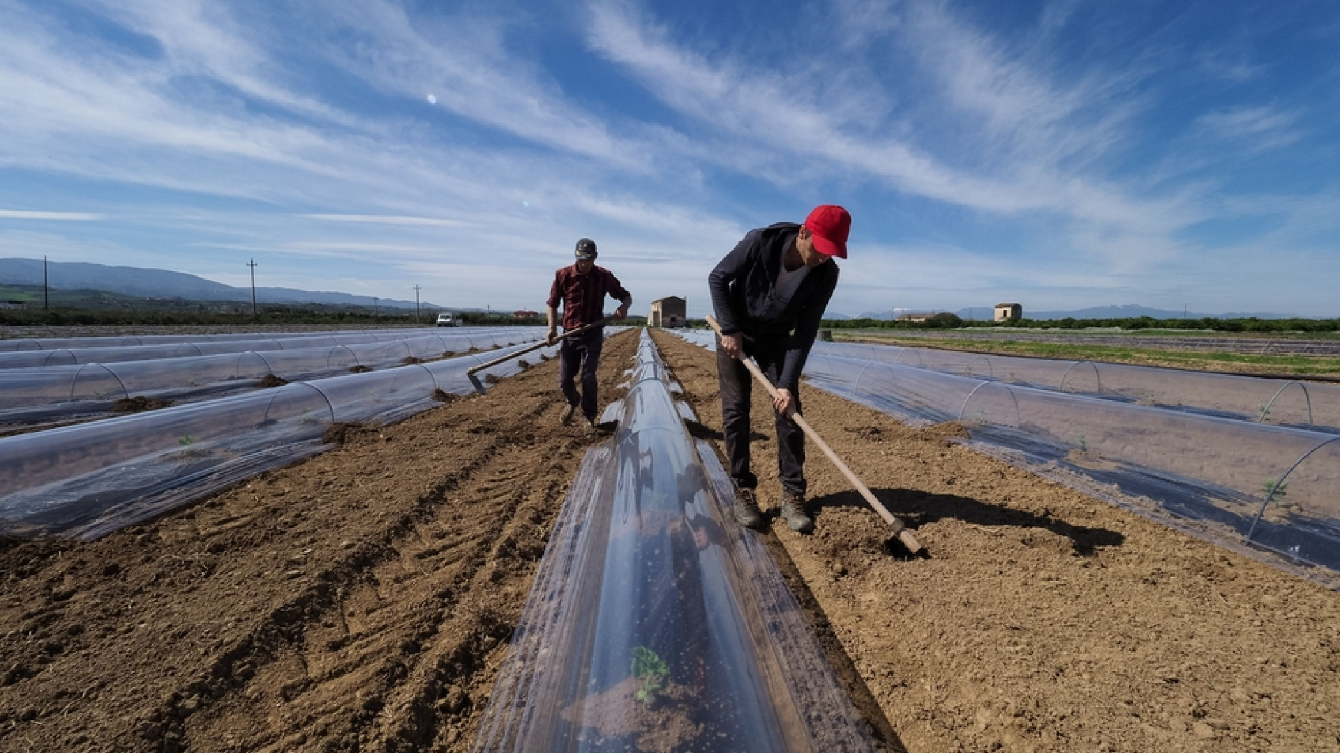 Immagine di Immigrati, il lavoro per integrare
