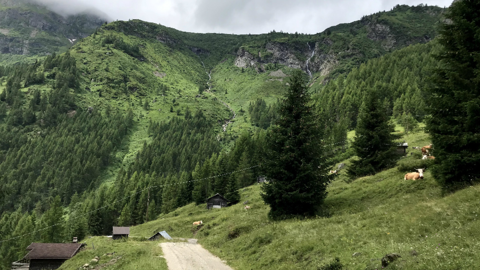 Immagine di Il cuore della Marmolada