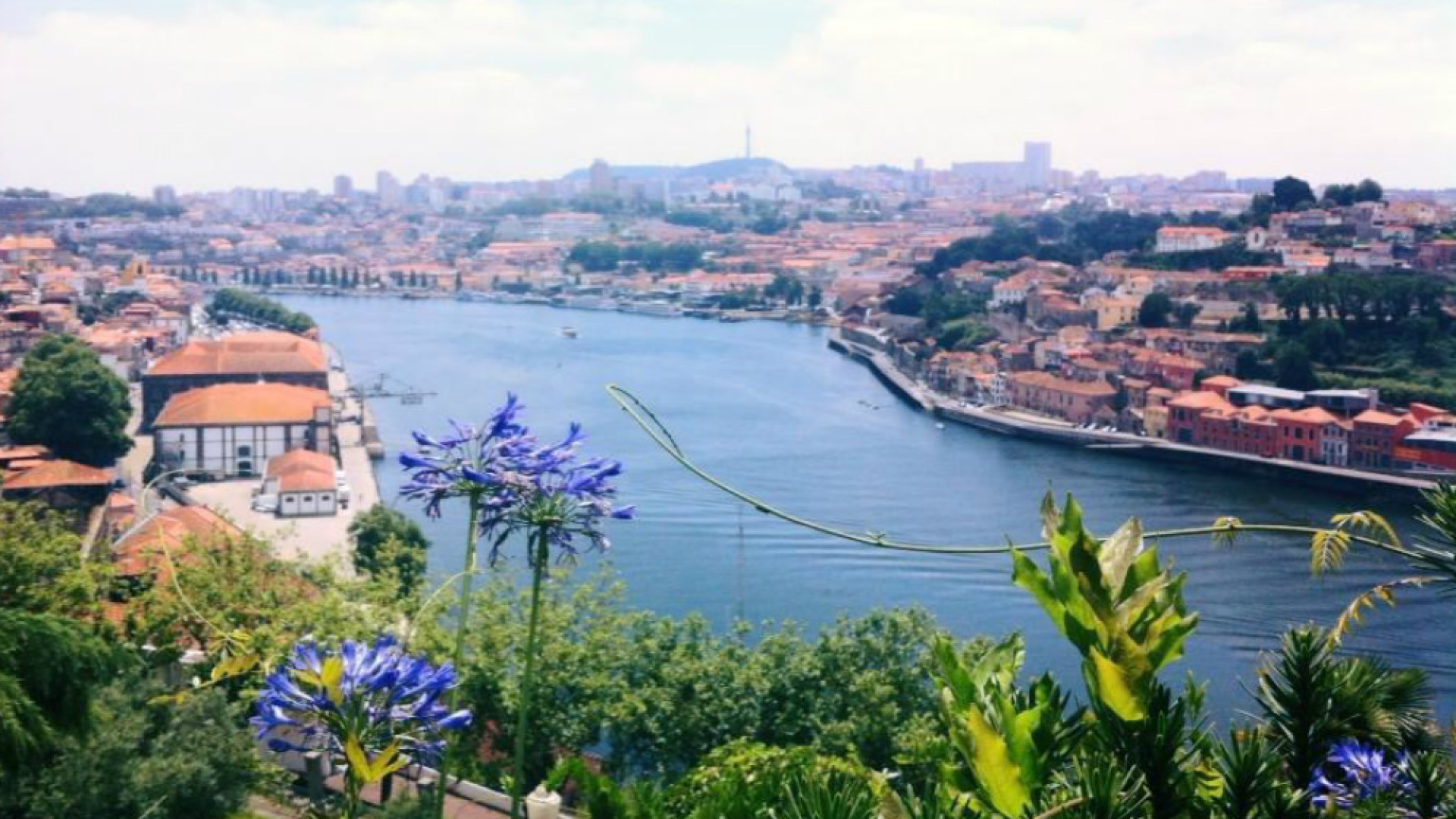 Immagine di «Coprifuoco alle 23, smart working e Green pass nei locali»