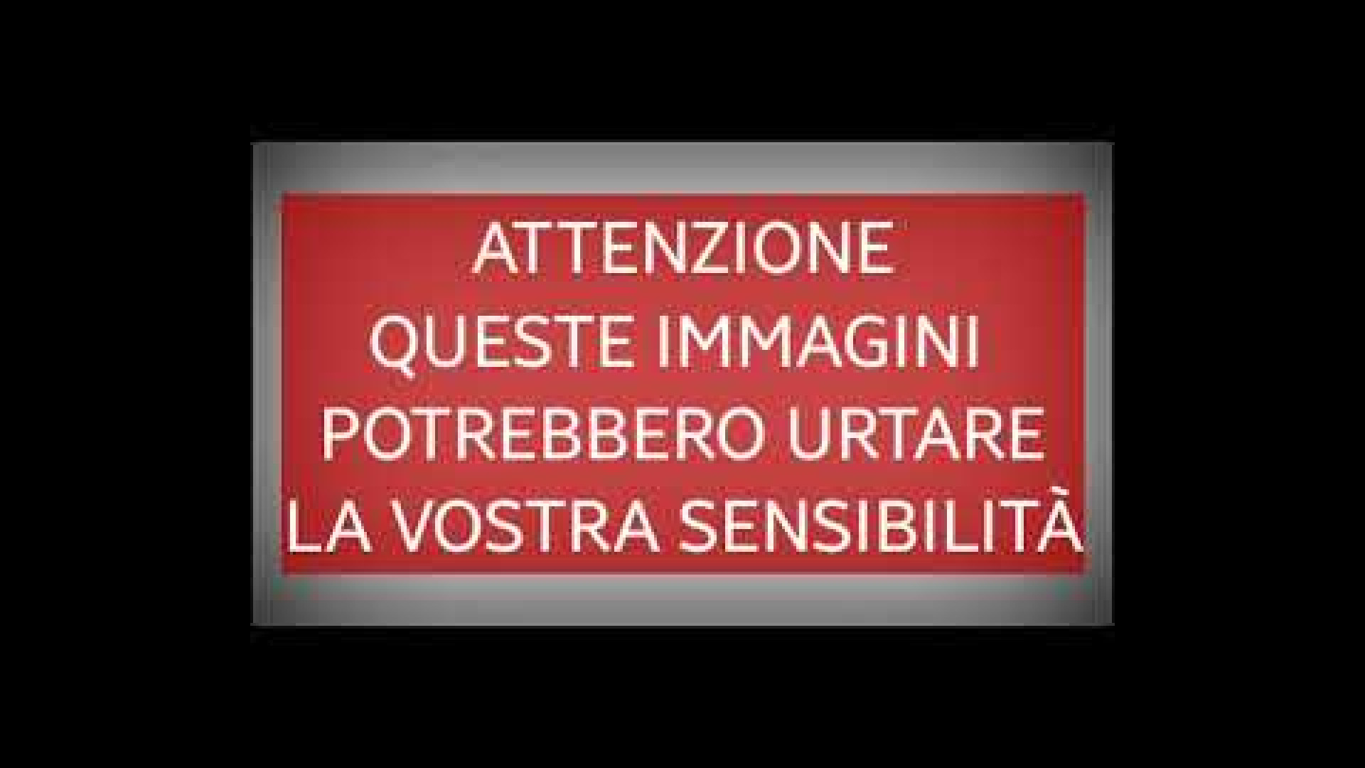 Immagine di Le ragazze sommerse e i pescatori: le immagini choc di un naufragio fantasma