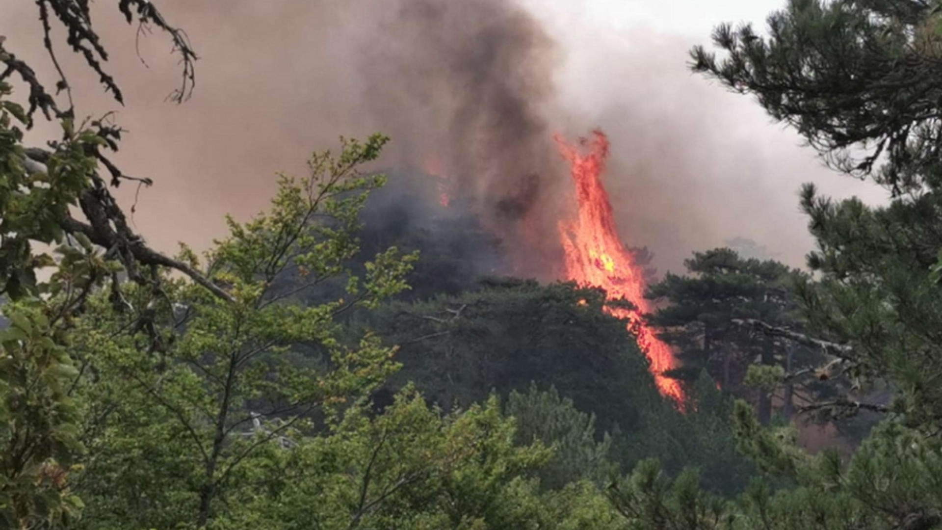 Immagine di Vent’anni fa gli incendi erano crollati del 90%, il modello dimenticato